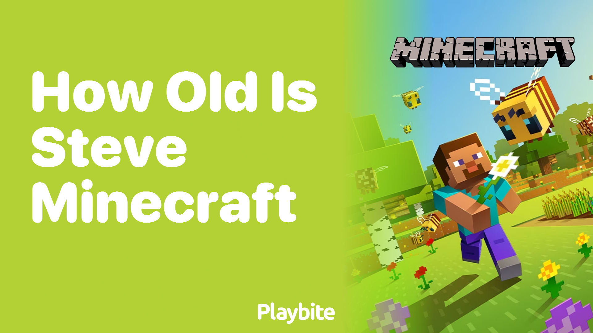 How Old Is Steve from Minecraft? - Playbite