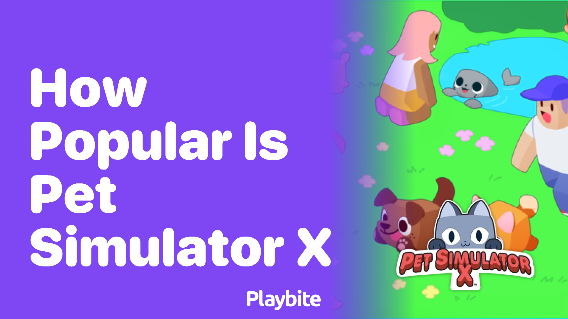 How Popular Is Pet Simulator X?