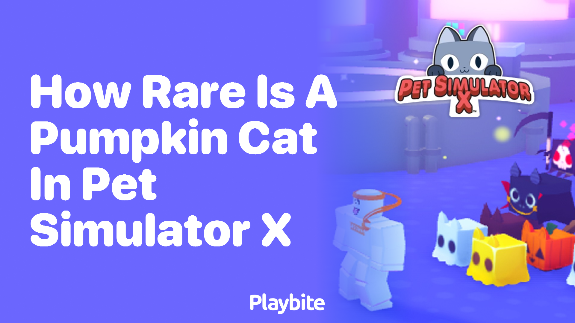 Discover How Rare a Pumpkin Cat Is in Pet Simulator X