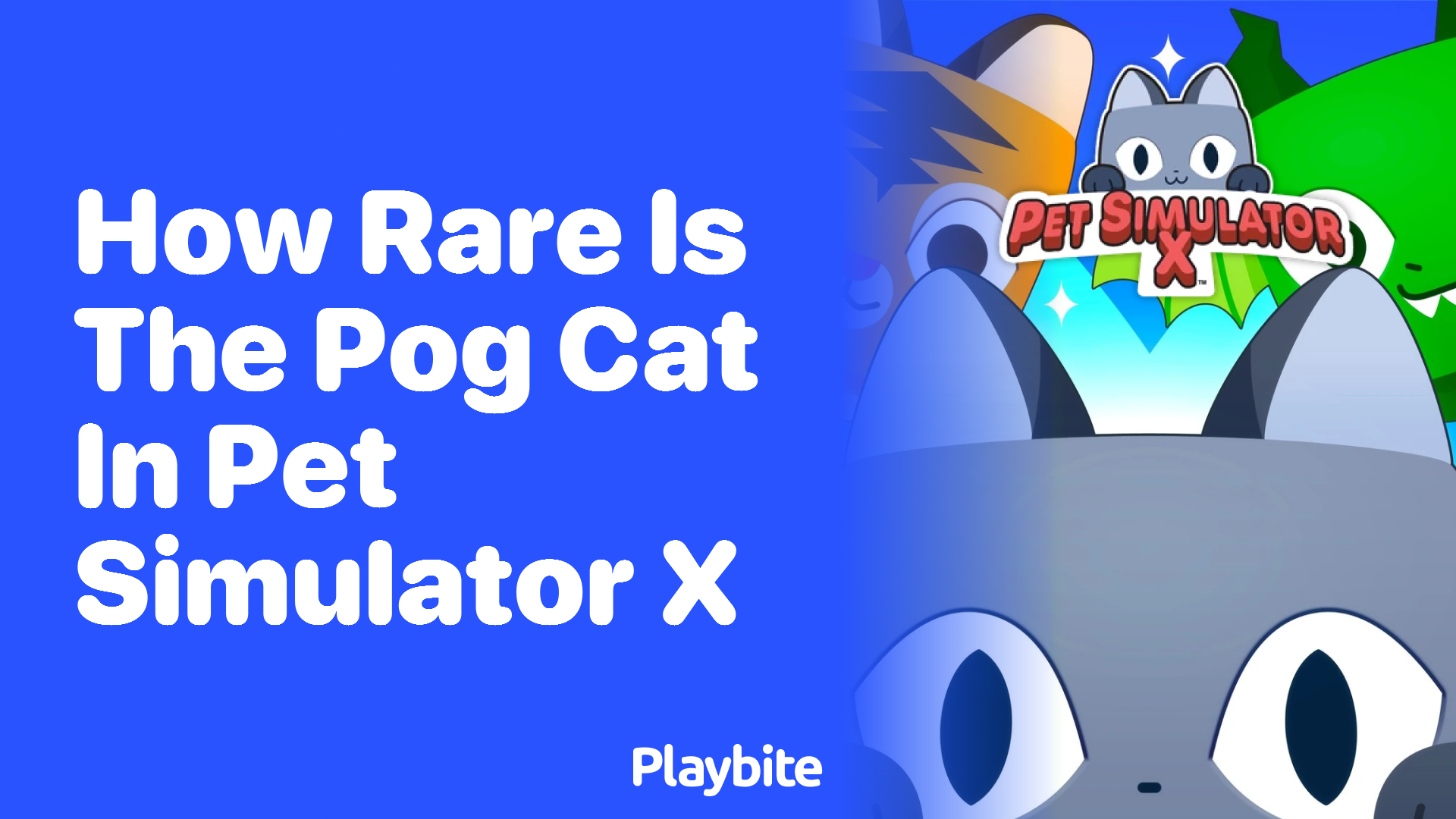 How Rare is the Pog Cat in Pet Simulator X?