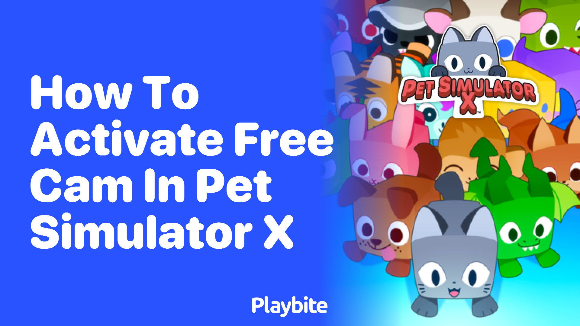 How to Activate Free Cam in Pet Simulator X