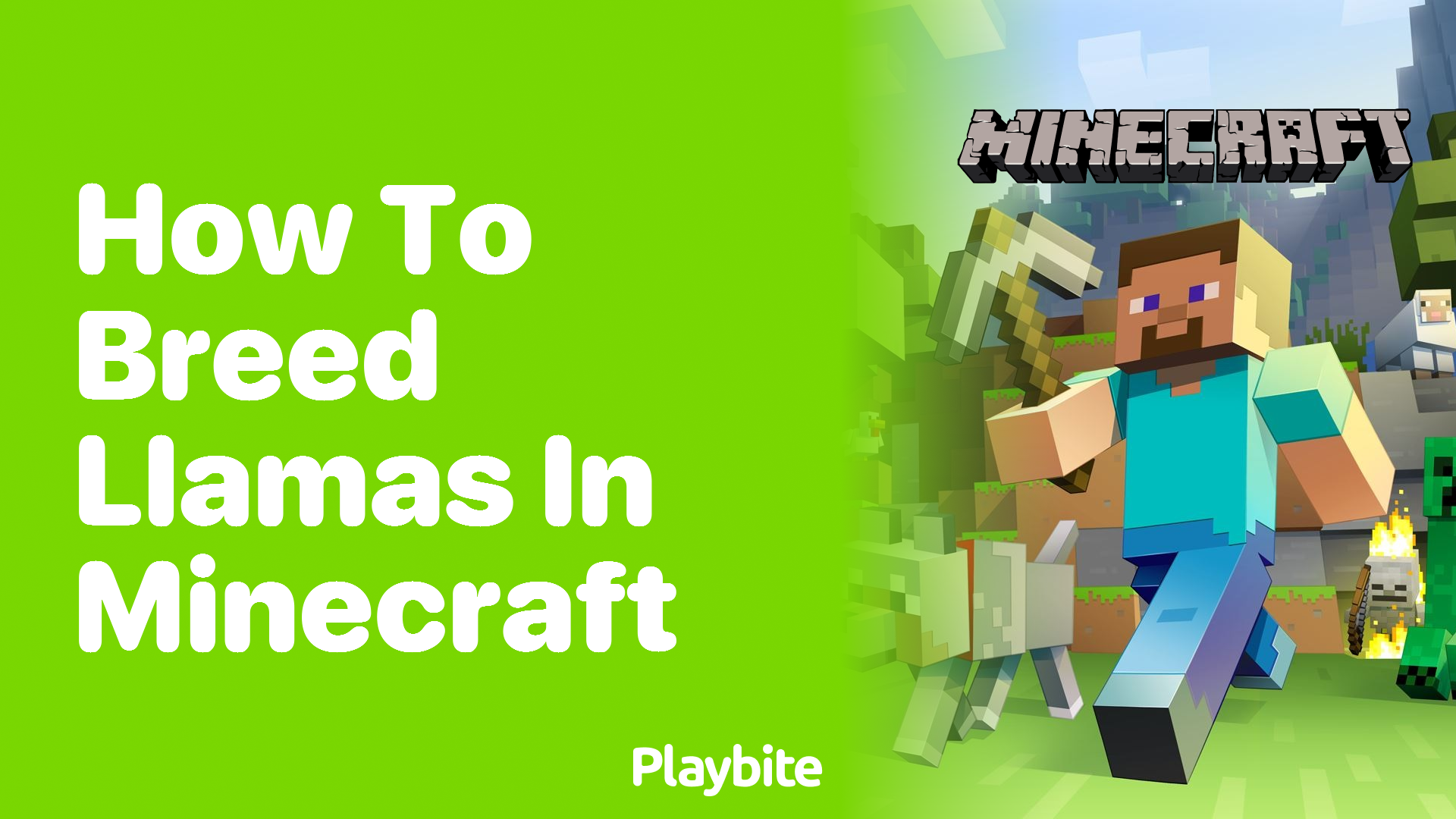 How to Breed Llamas in Minecraft