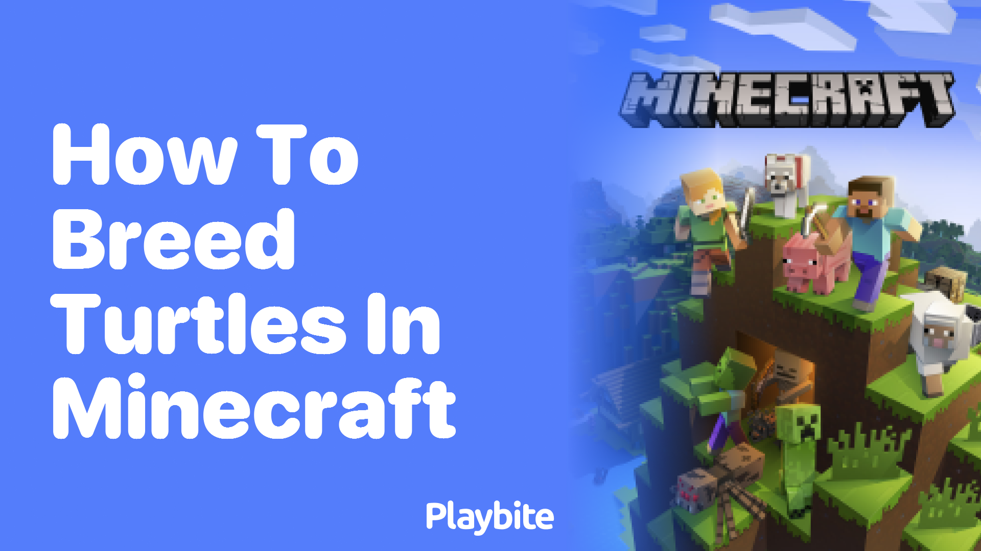 How to Breed Turtles in Minecraft