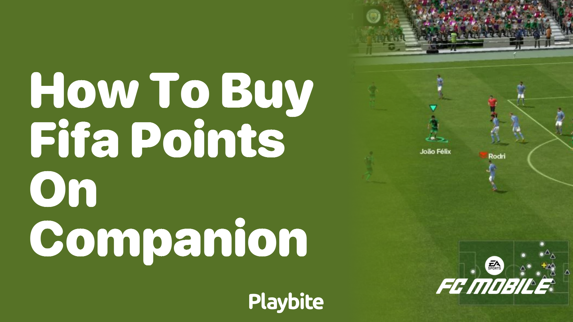 How to Buy FIFA Points on Companion