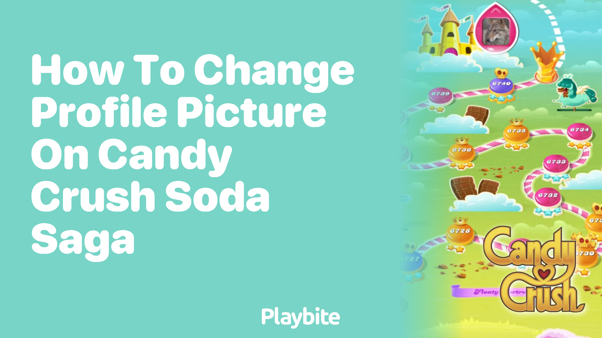 How to Change Your Profile Picture on Candy Crush Soda Saga