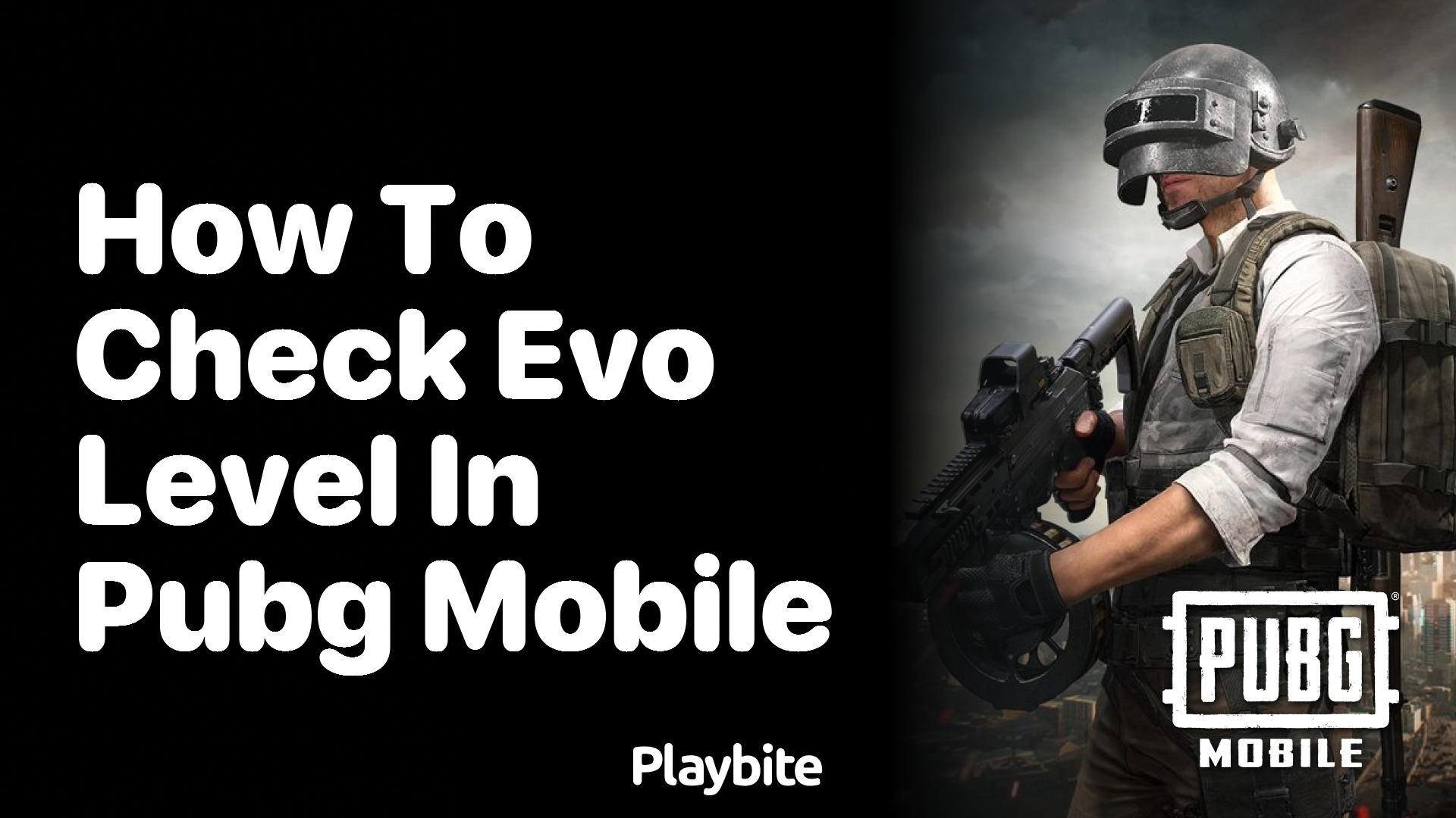 How to Check Your Evo Level in PUBG Mobile