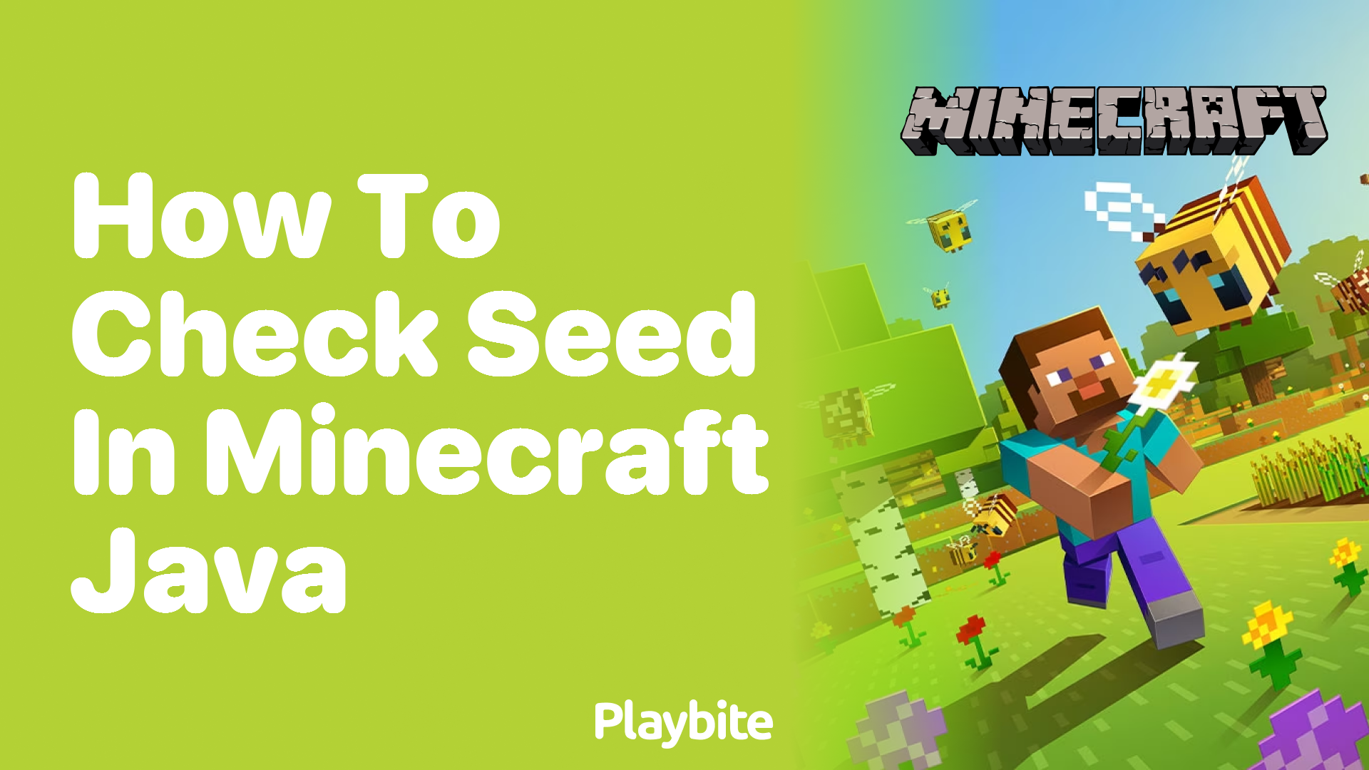 How to Check Seed in Minecraft Java