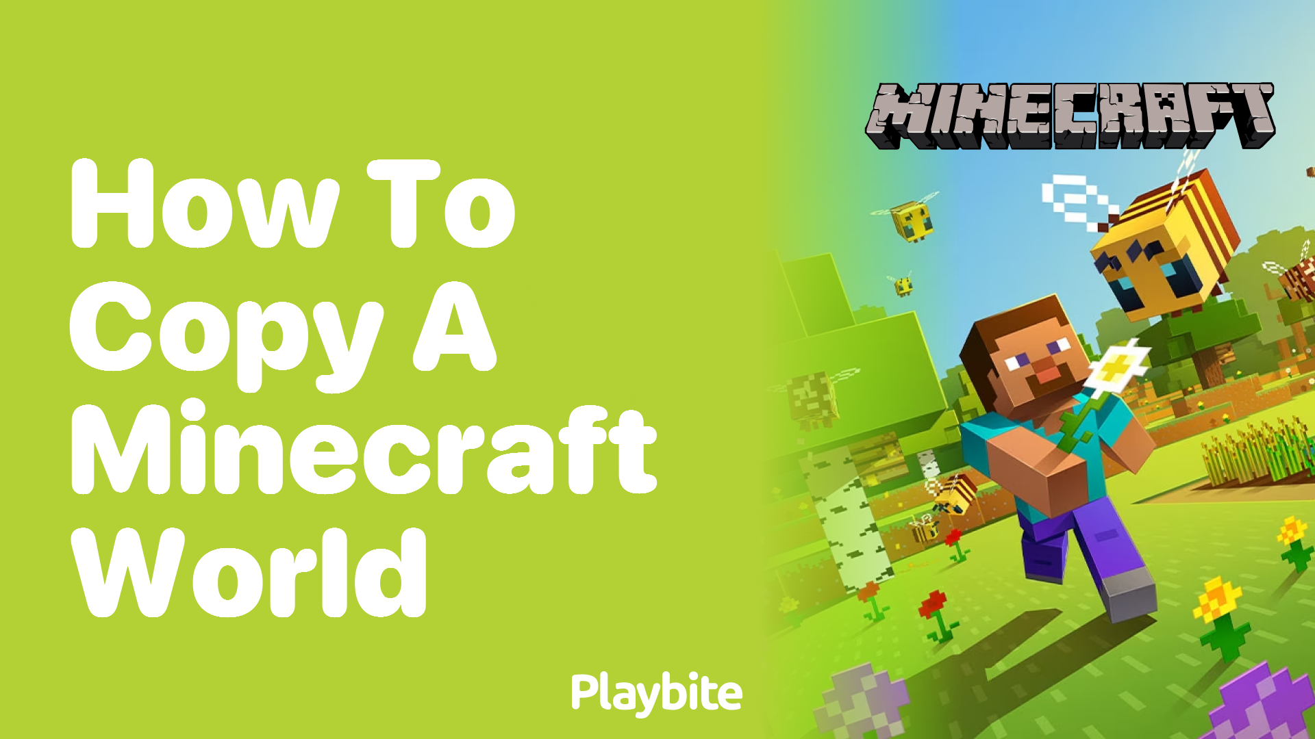 How to Copy a Minecraft World