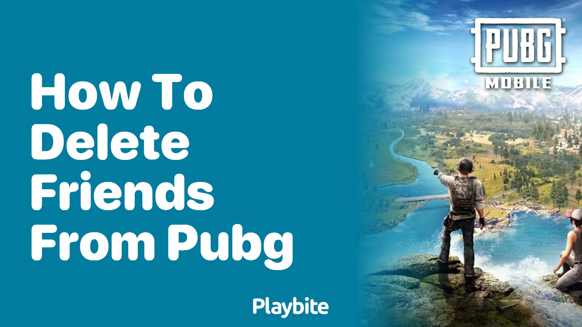 How to Delete Friends from PUBG Mobile?