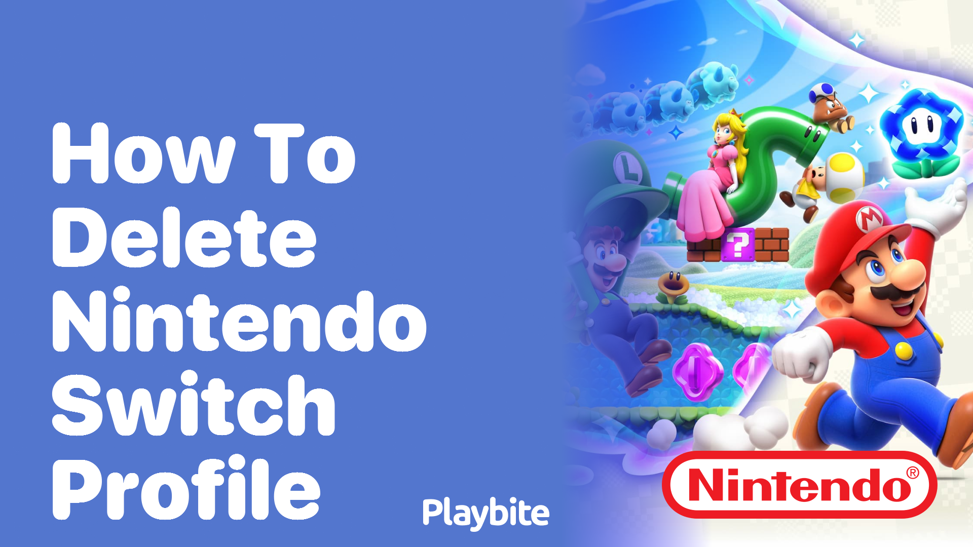 How to Delete a Nintendo Switch Profile