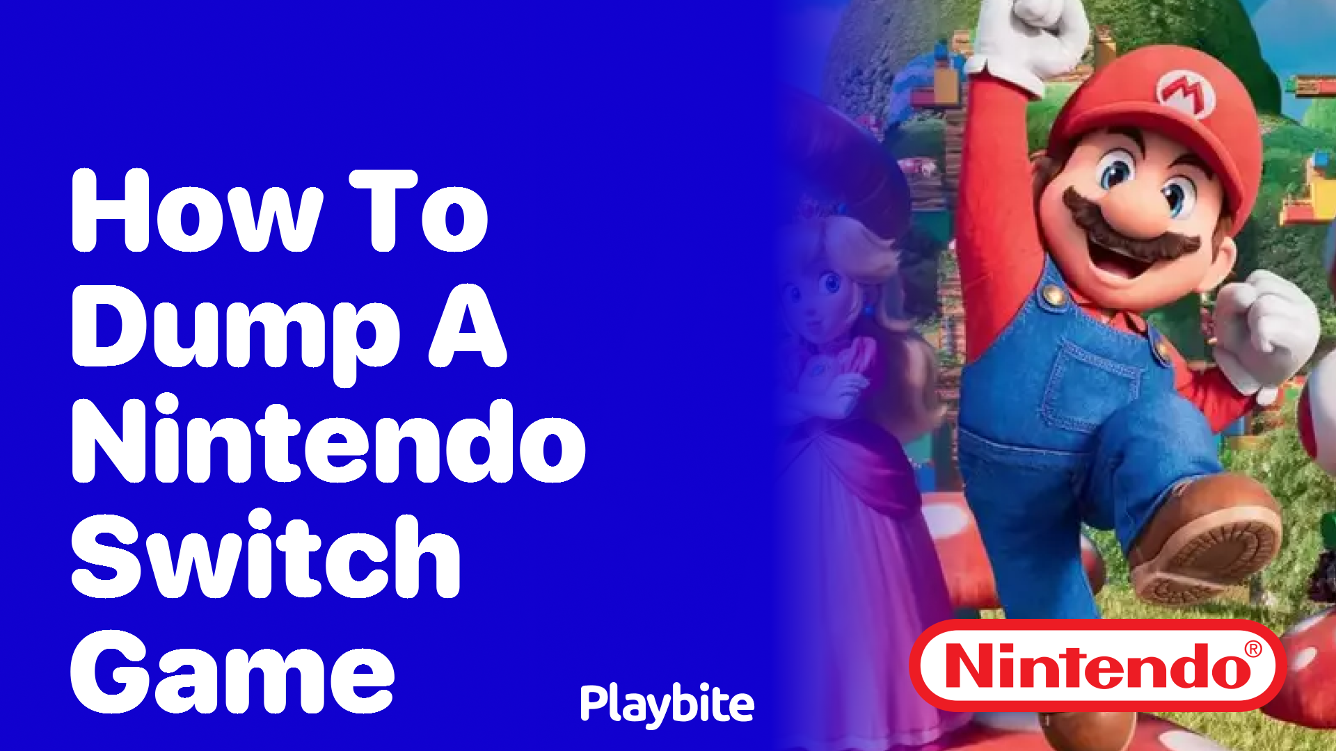 How to Dump a Nintendo Switch Game - Playbite