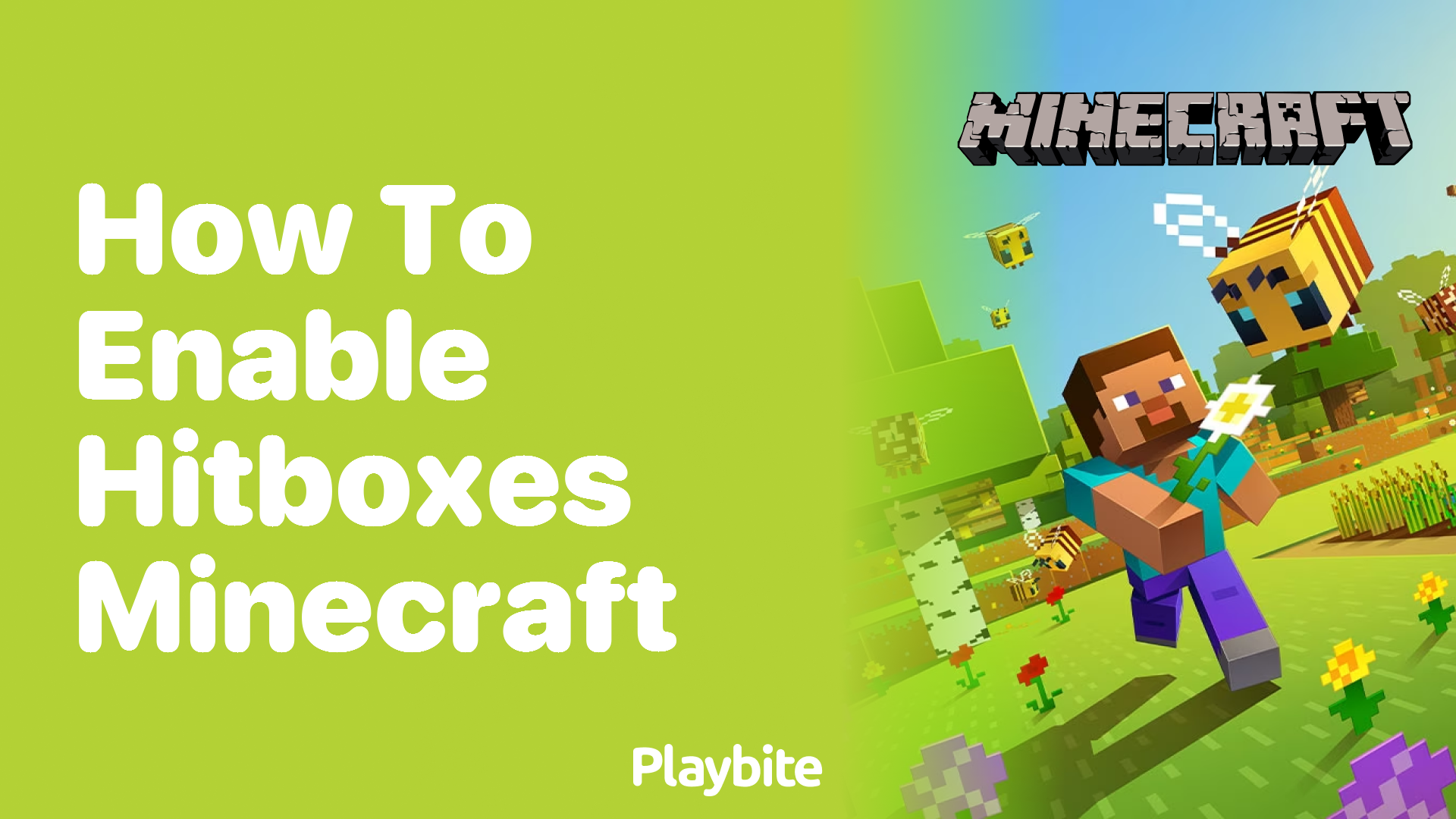 How to Enable Hitboxes in Minecraft