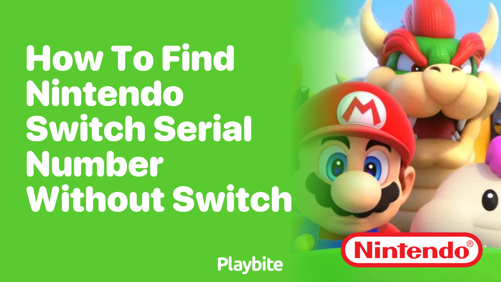 How to Find Your Nintendo Switch Serial Number Without the Switch Itself