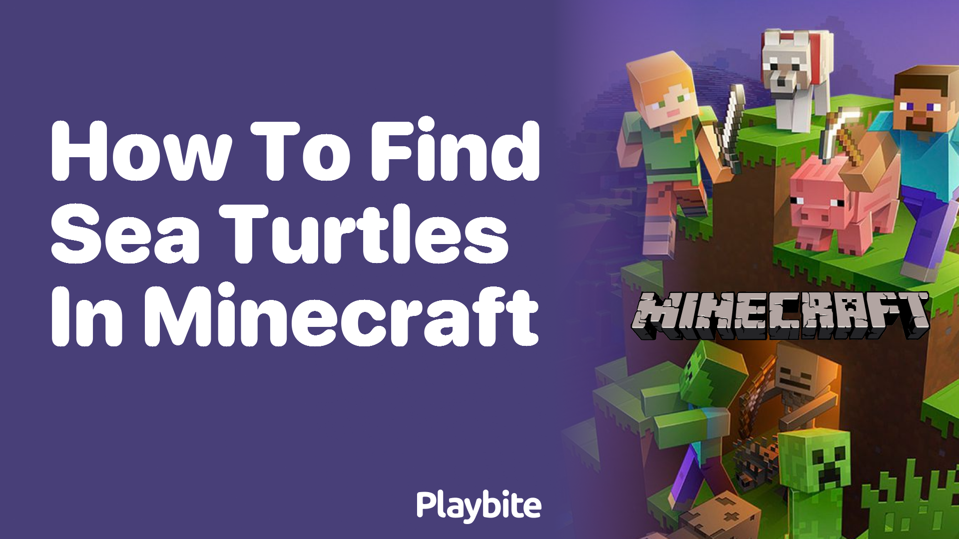 How to Find Sea Turtles in Minecraft: A Quick Guide