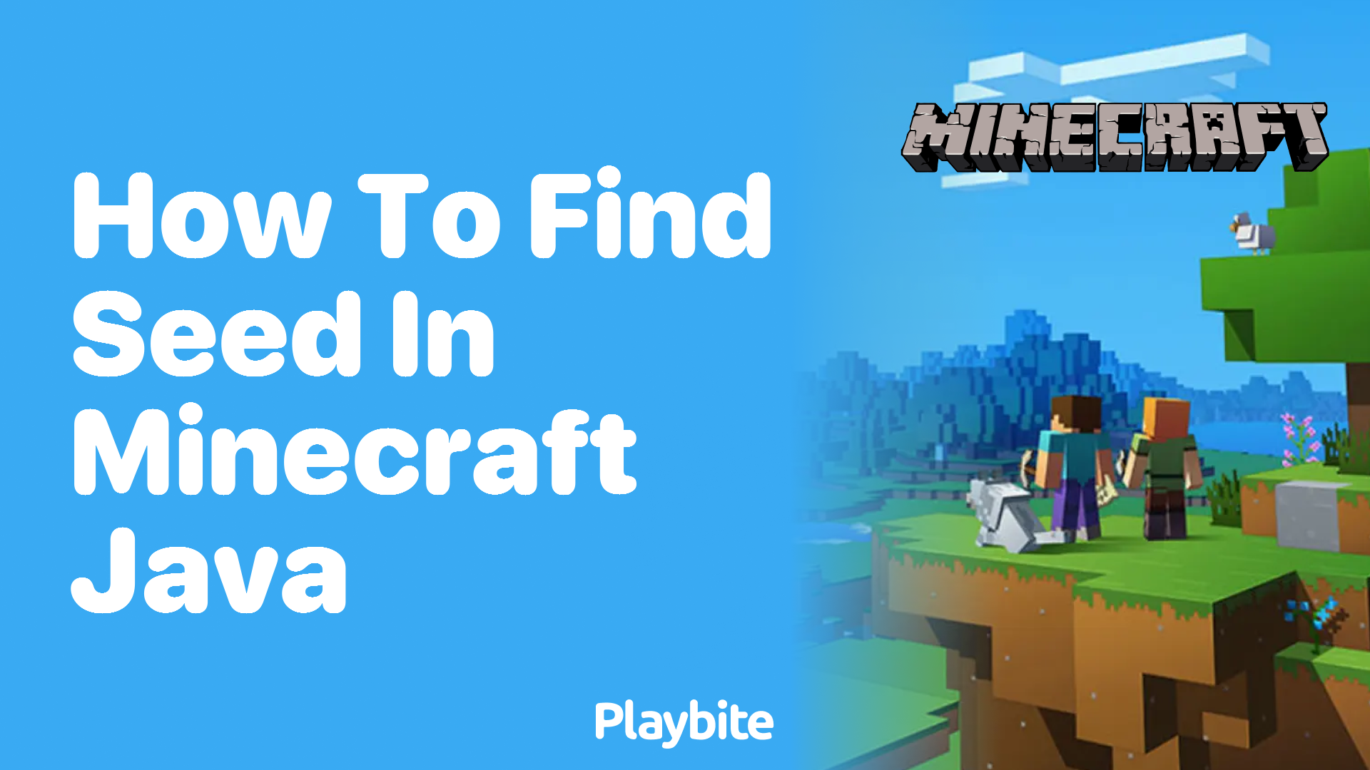 How to Find Your Seed in Minecraft Java Edition - Playbite