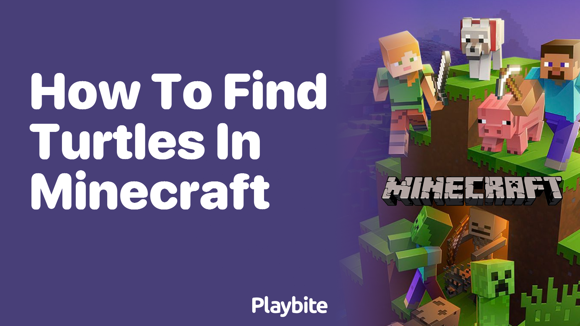 How to Find Turtles in Minecraft: A Quick Guide