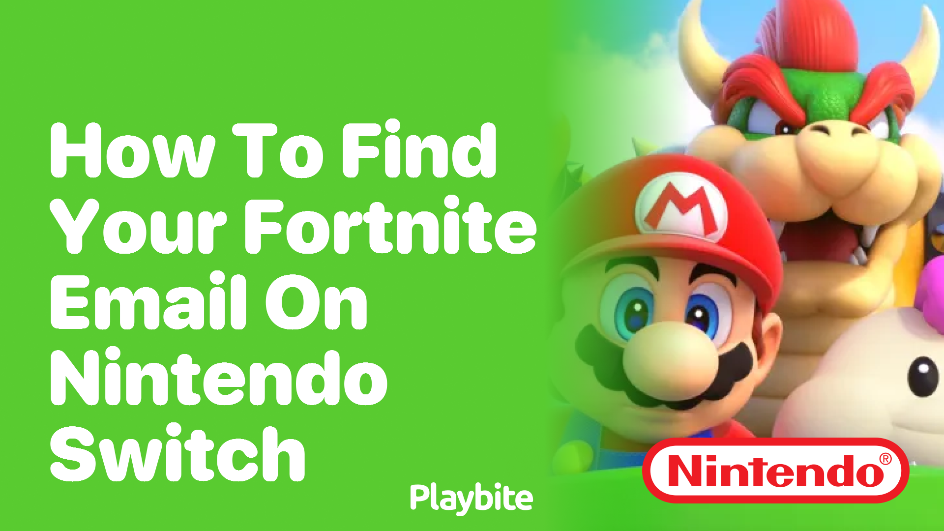 How Do I Find My Fortnite Email On Nintendo Switch