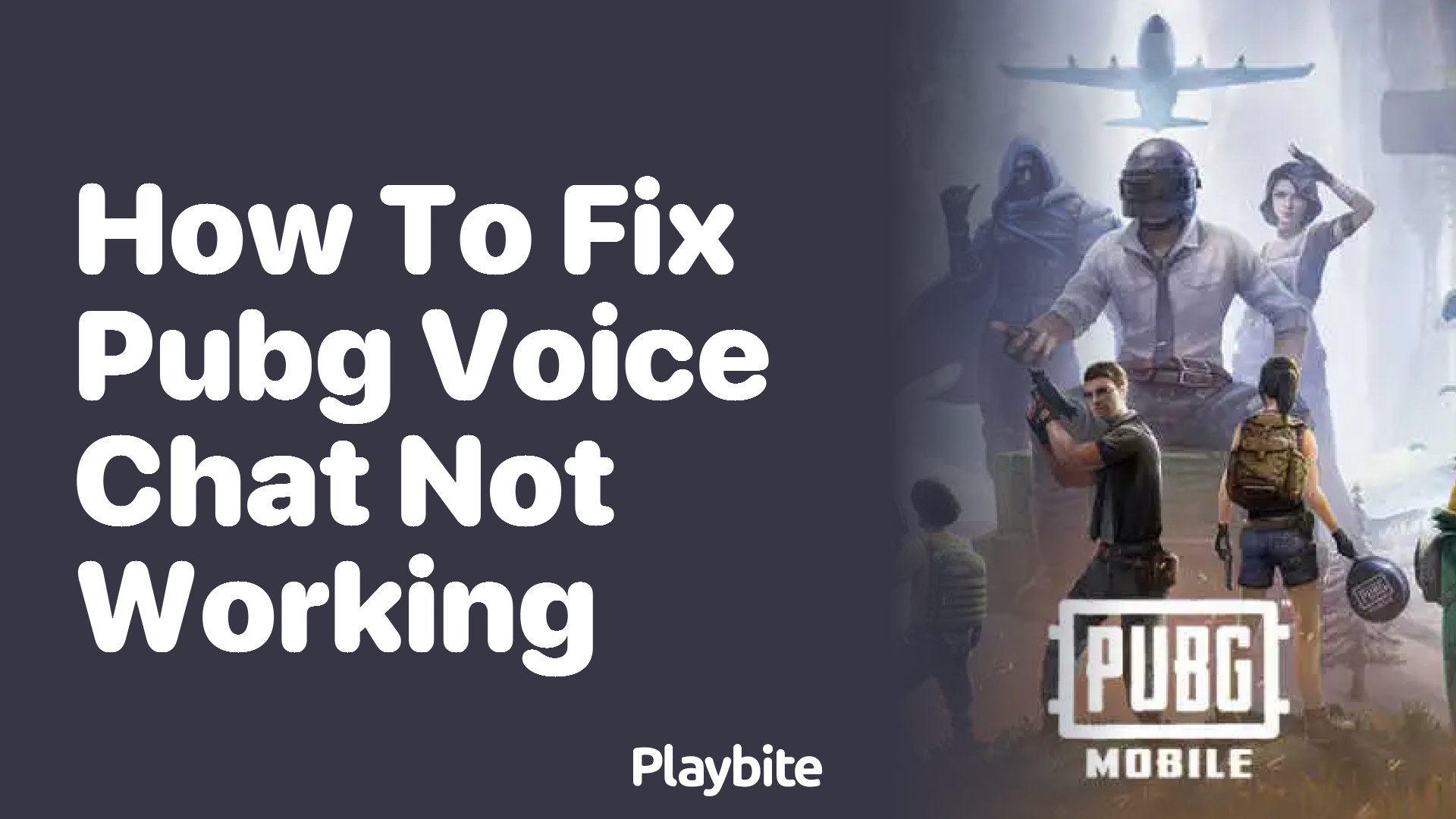 How to Fix PUBG Voice Chat Not Working