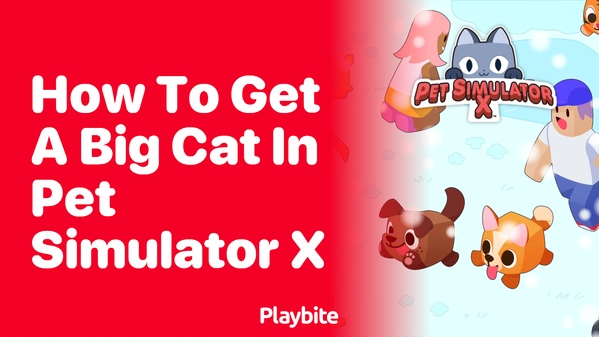 How to Get a Big Cat in Pet Simulator X