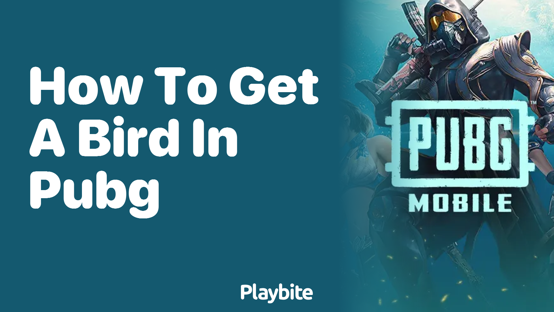 How to Get a Bird in PUBG Mobile