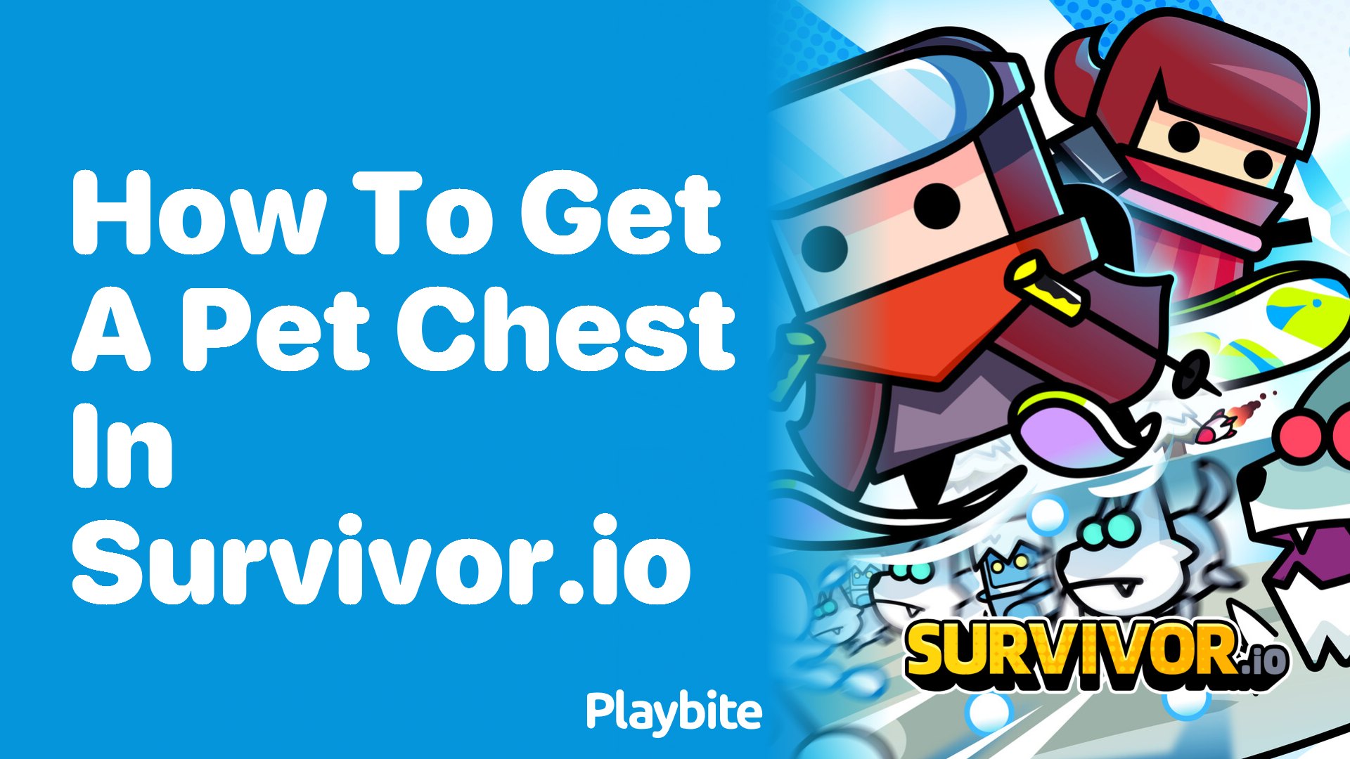 How to Get a Pet Chest in Survivor.io