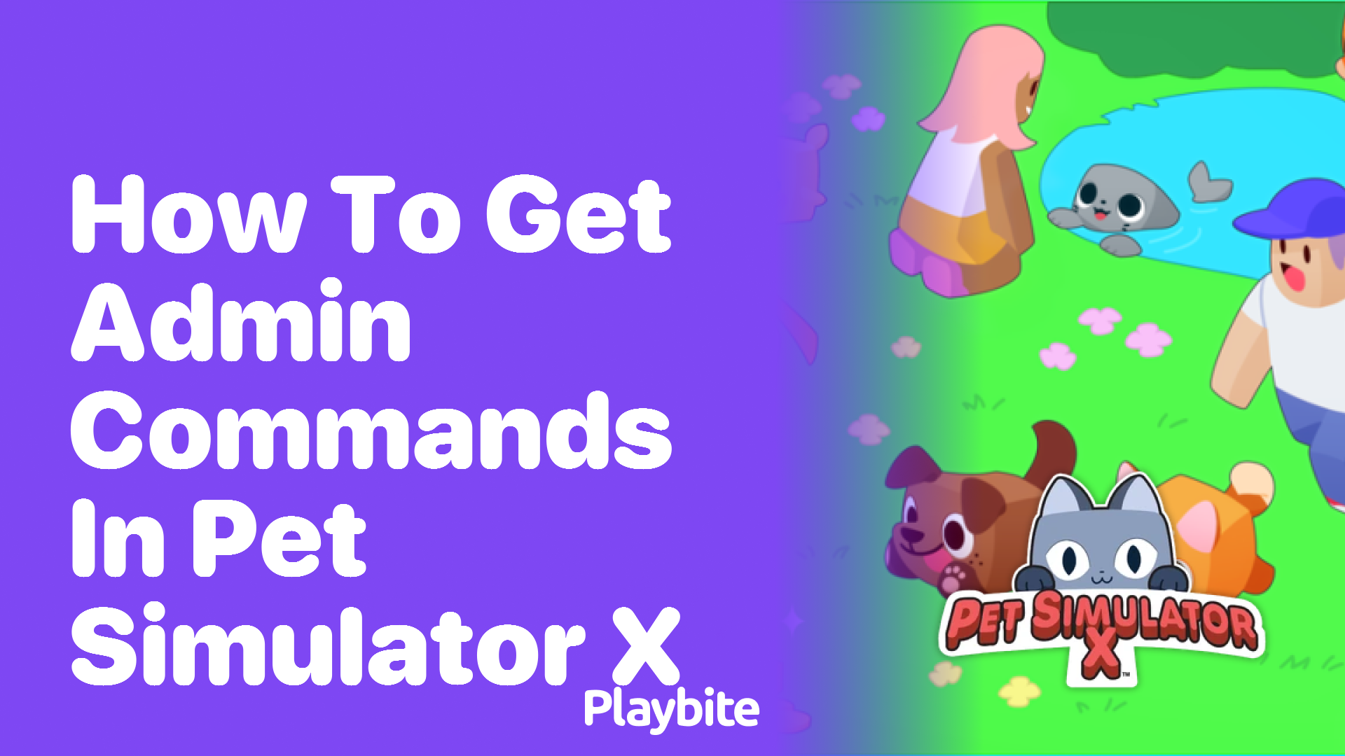 How to Get Admin Commands in Pet Simulator X