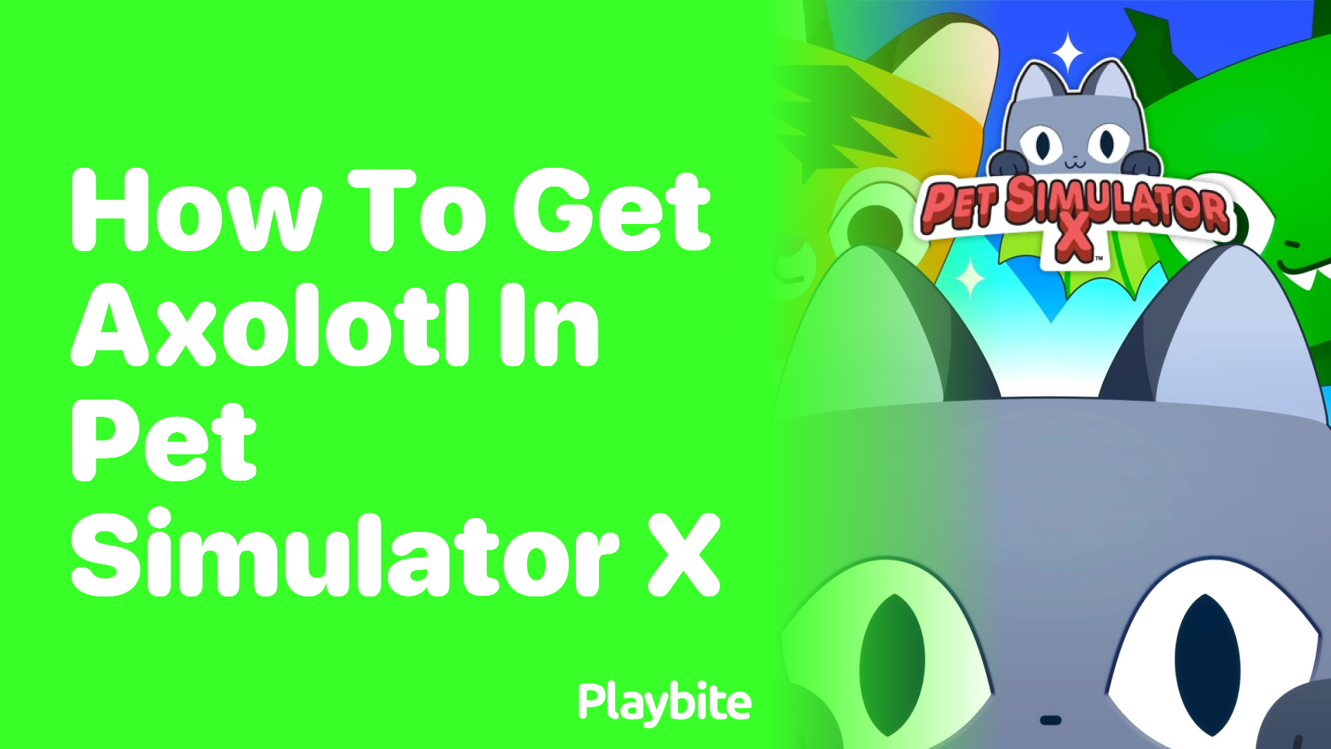 Unlocking the Secret: How to Get Axolotl in Pet Simulator X