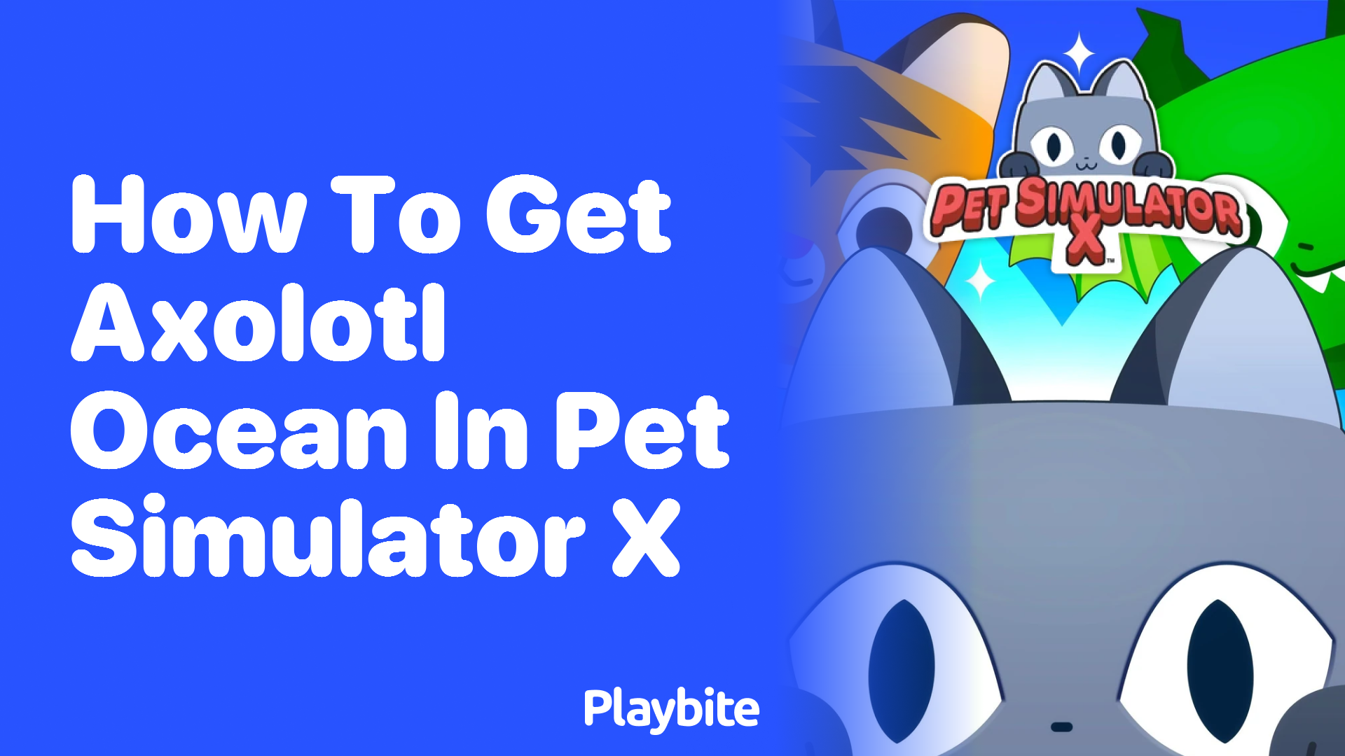 How to Get Axolotl Ocean in Pet Simulator X