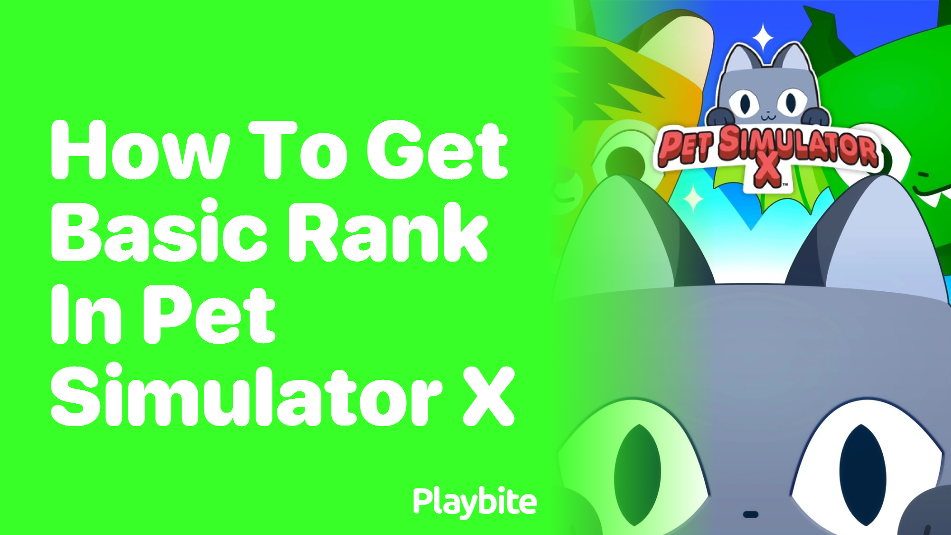 How to Get Basic Rank in Pet Simulator X