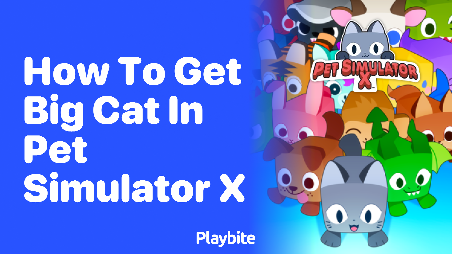 How to Get Big Cat in Pet Simulator X: A Guide to Snag Your Furry Friend