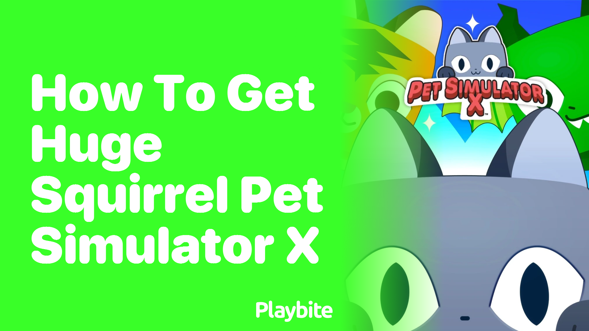 How to Get the Huge Squirrel in Pet Simulator X