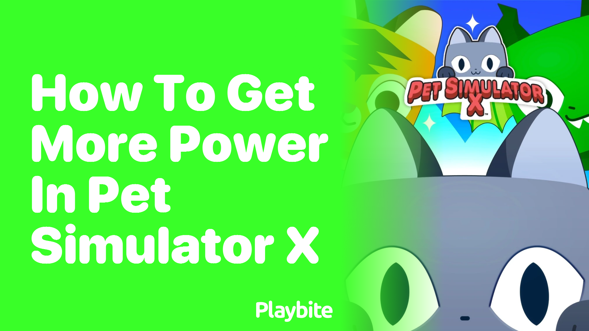 How to Get More Power in Pet Simulator X