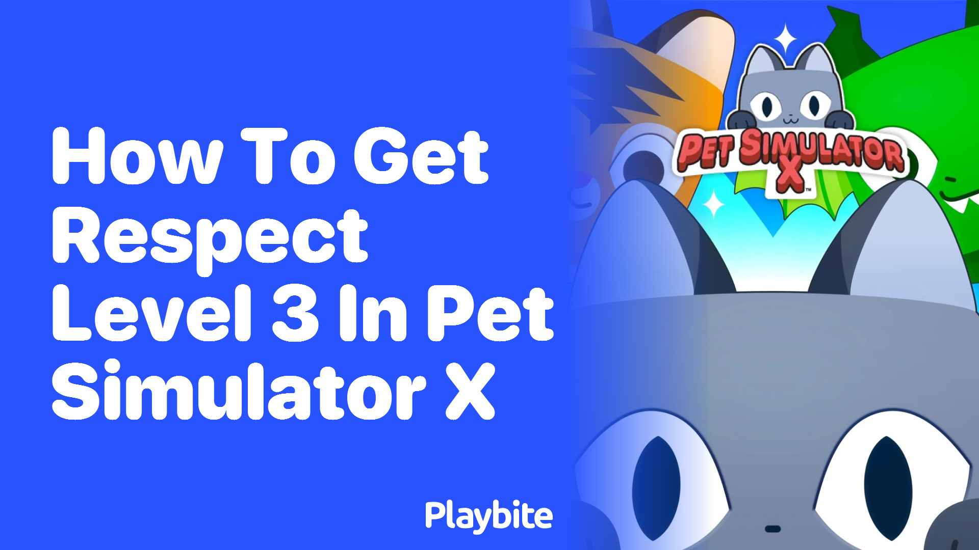 How to Achieve Respect Level 3 in Pet Simulator X