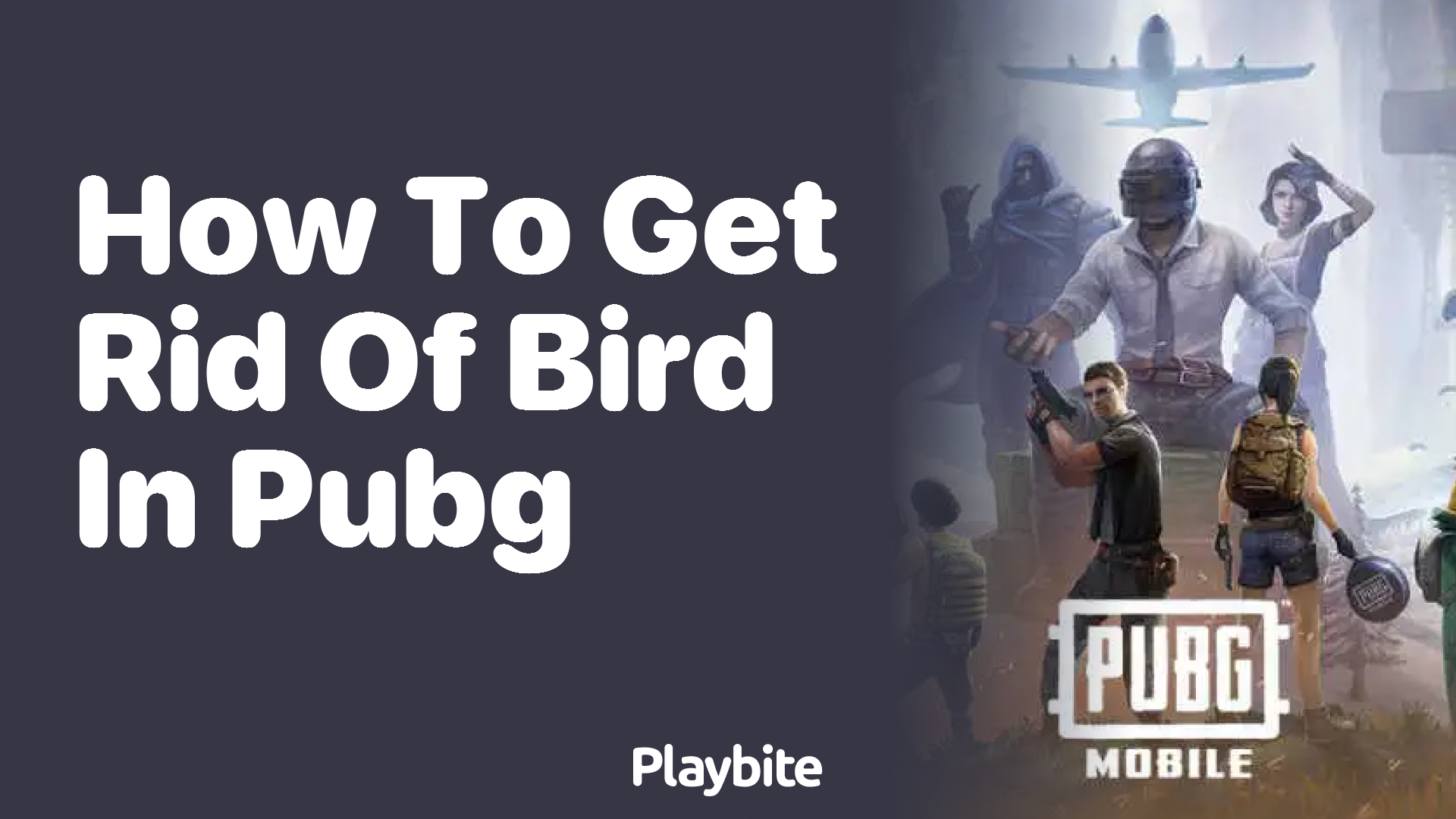 How to Get Rid of a Bird in PUBG Mobile