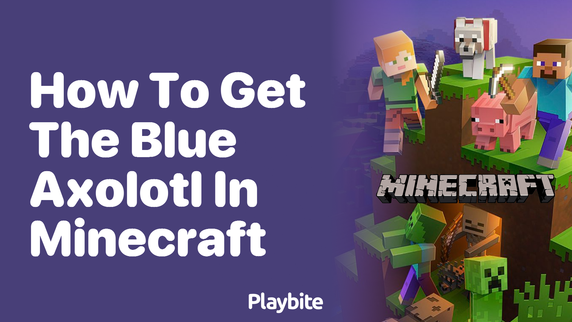 How to Get the Blue Axolotl in Minecraft