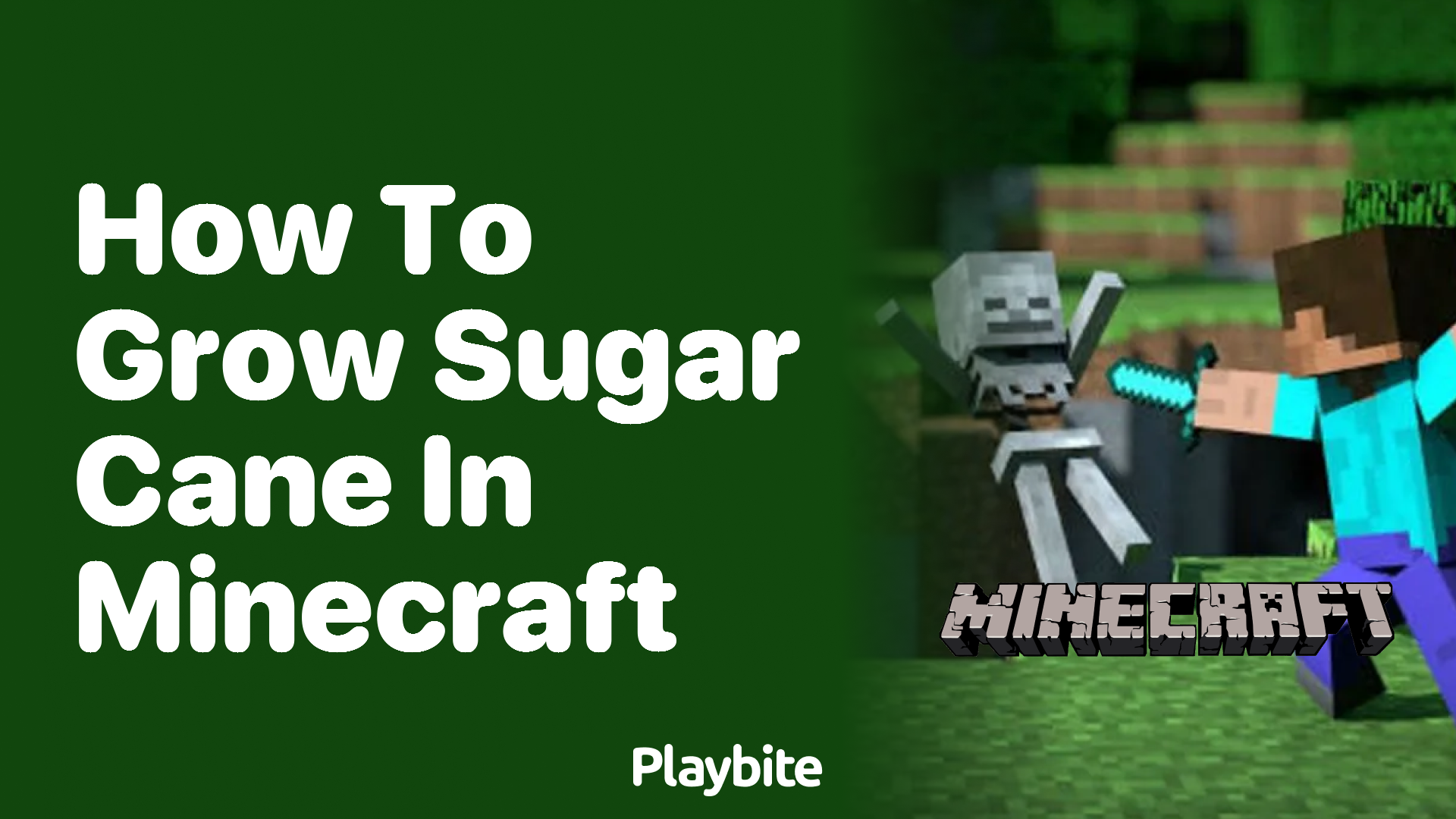 How to Grow Sugar Cane in Minecraft