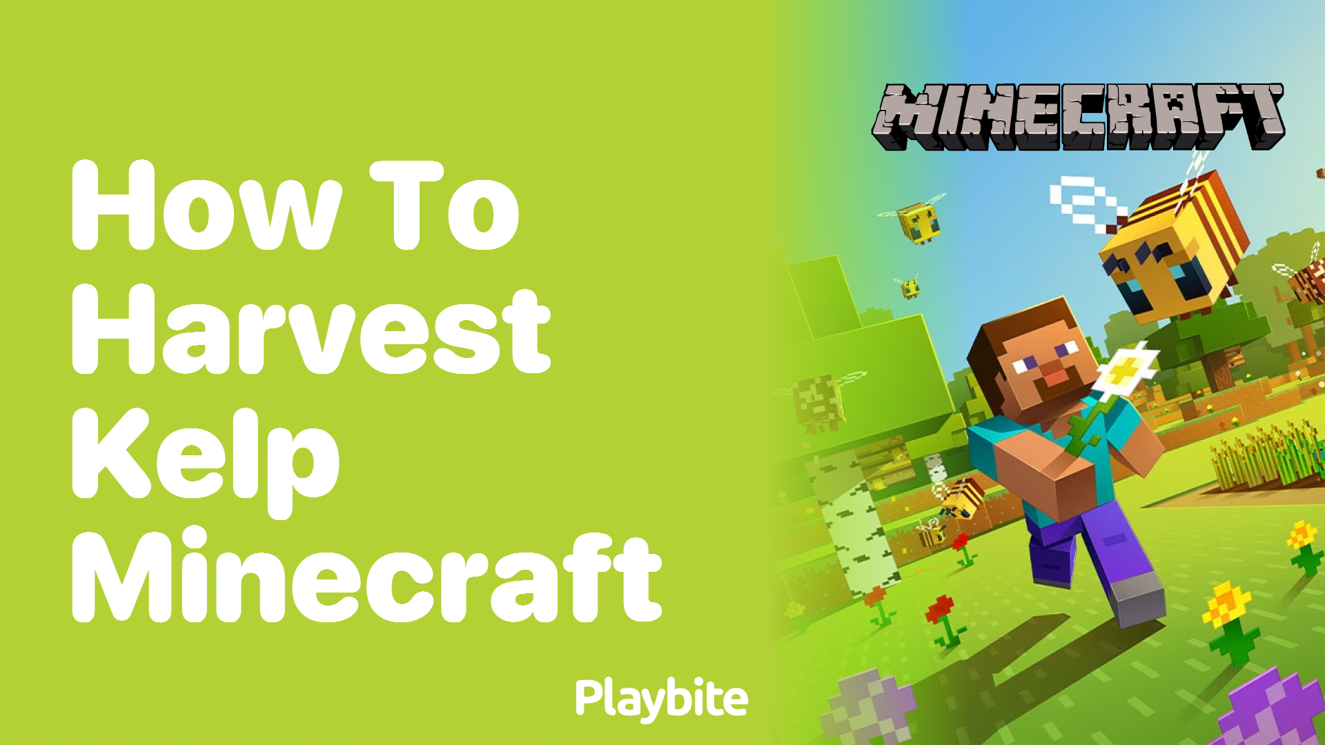 How to Harvest Kelp in Minecraft: A Simple Guide