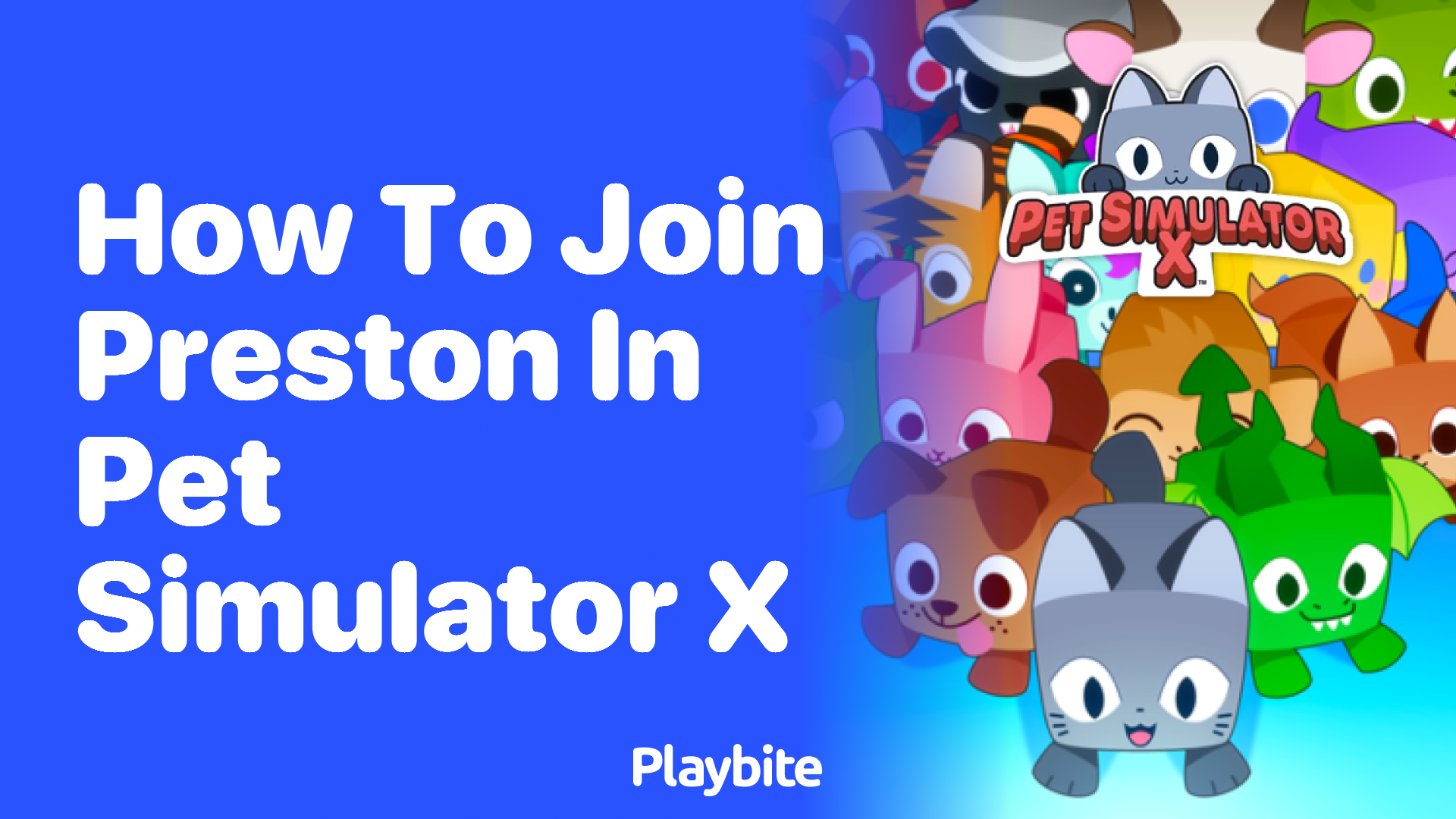 How to Join Preston in Pet Simulator X