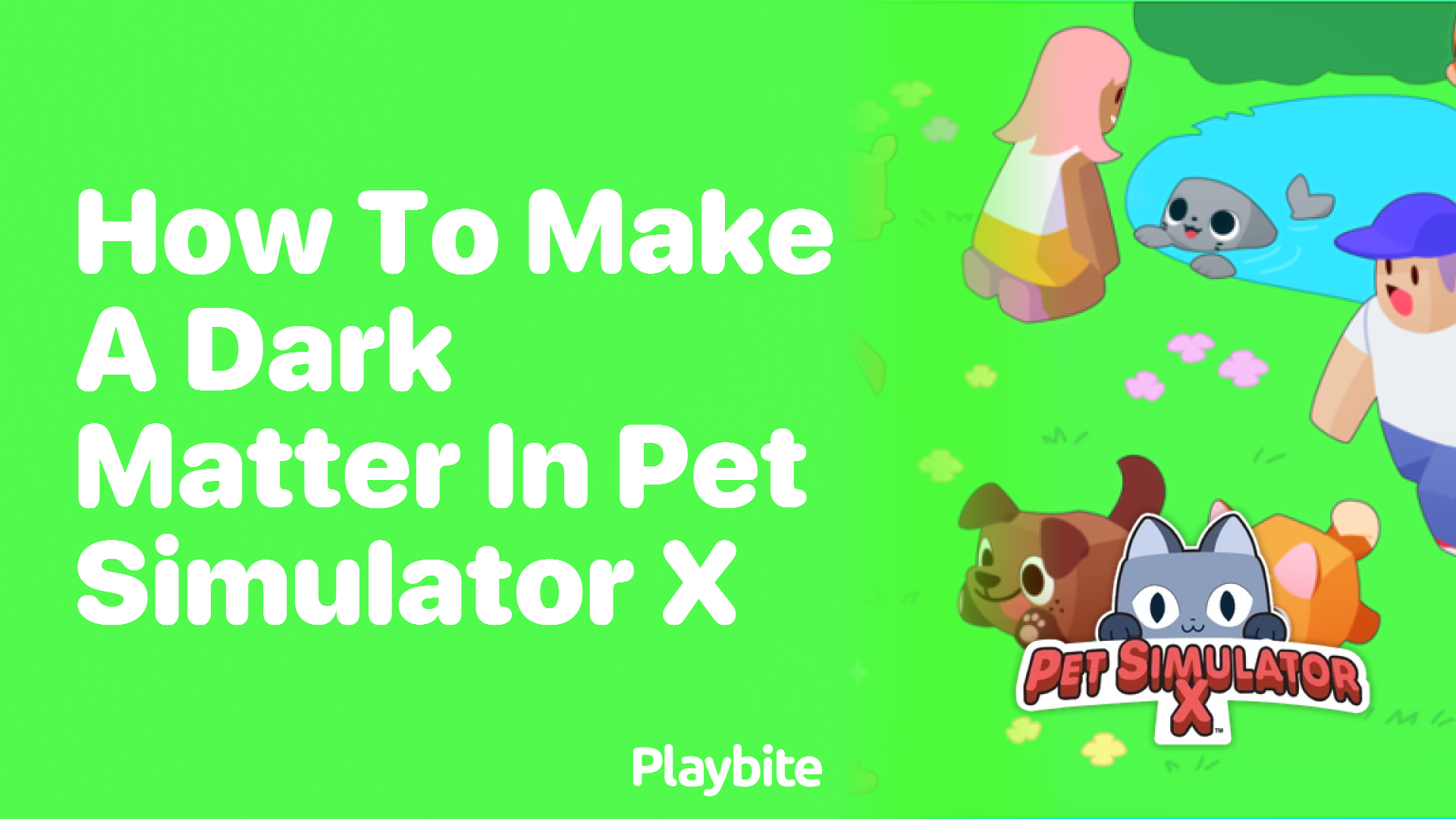 How to Make a Dark Matter in Pet Simulator X