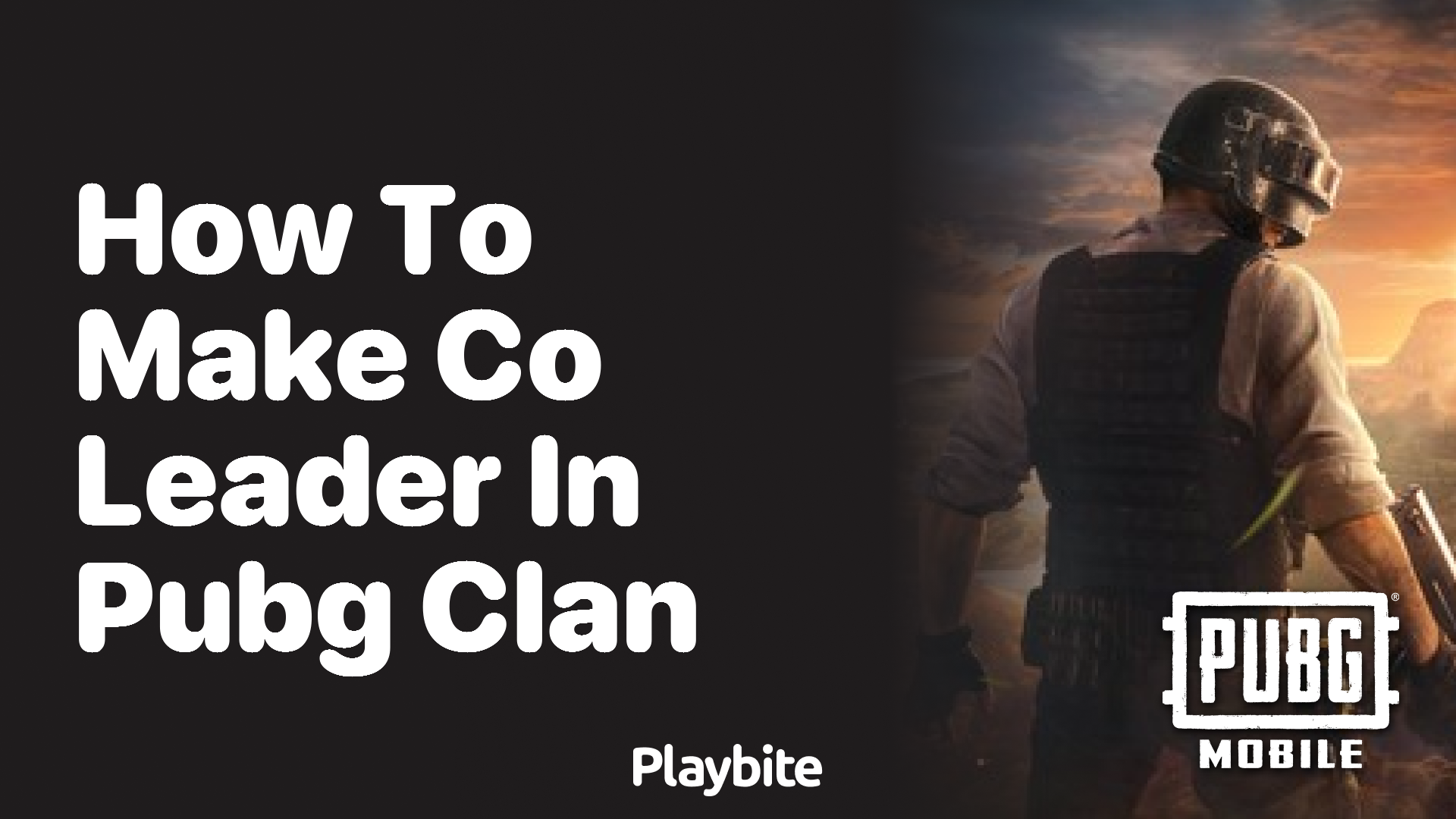 How to Make a Co-Leader in Your PUBG Clan