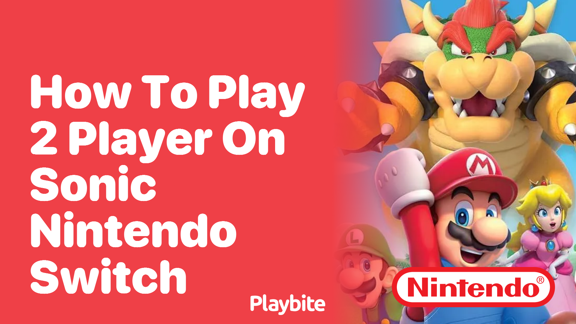 How to Play 2 Player on Sonic Nintendo Switch - Playbite