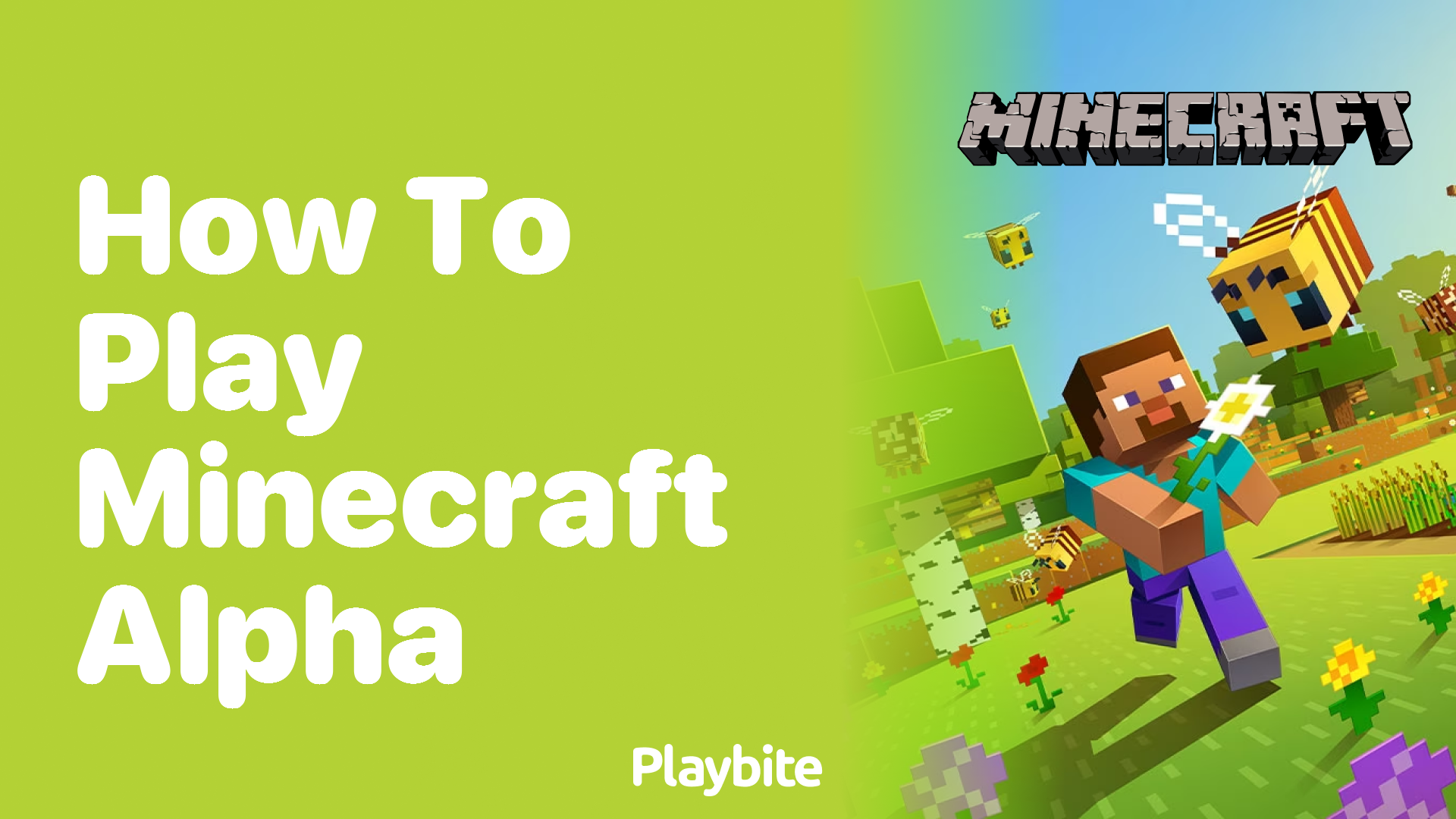 How to Play Minecraft Alpha: A Simple Guide