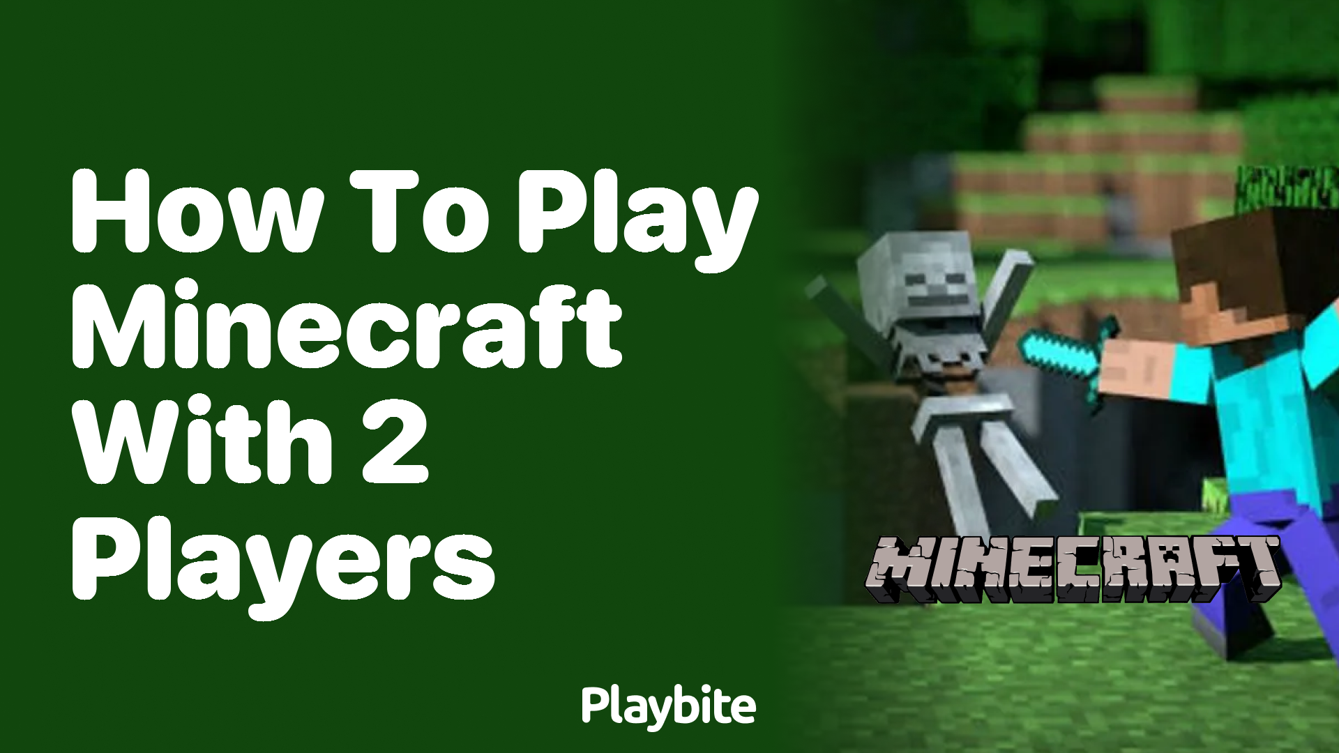 Minecraft sales 2 player