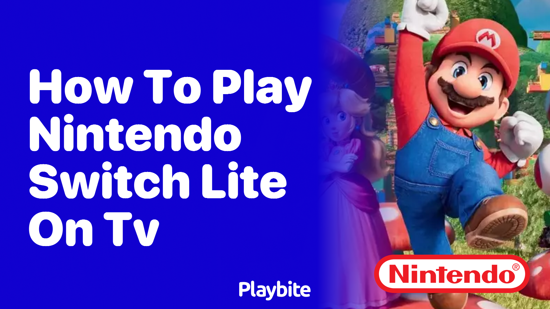 Is there a way to play switch lite on 2024 tv