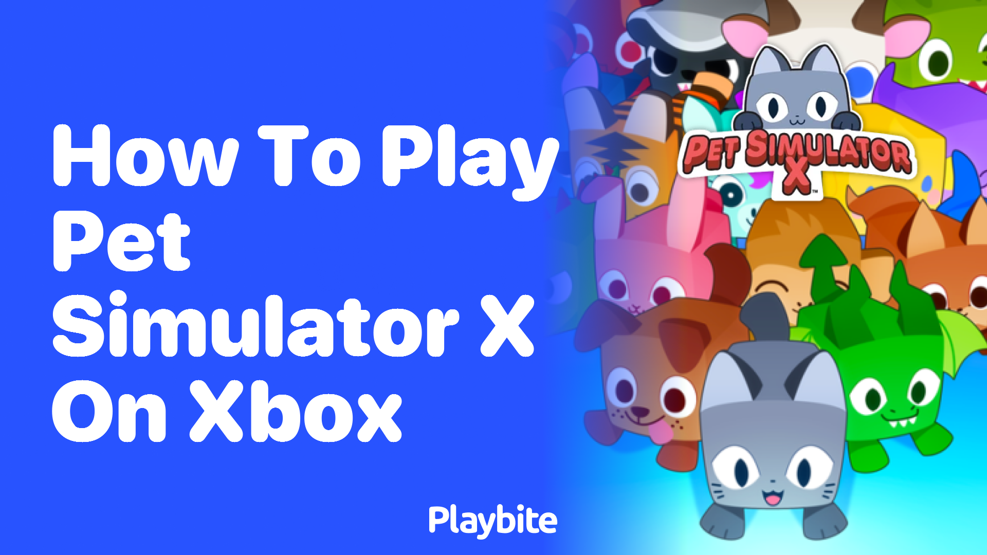 How to Play Pet Simulator X on Xbox