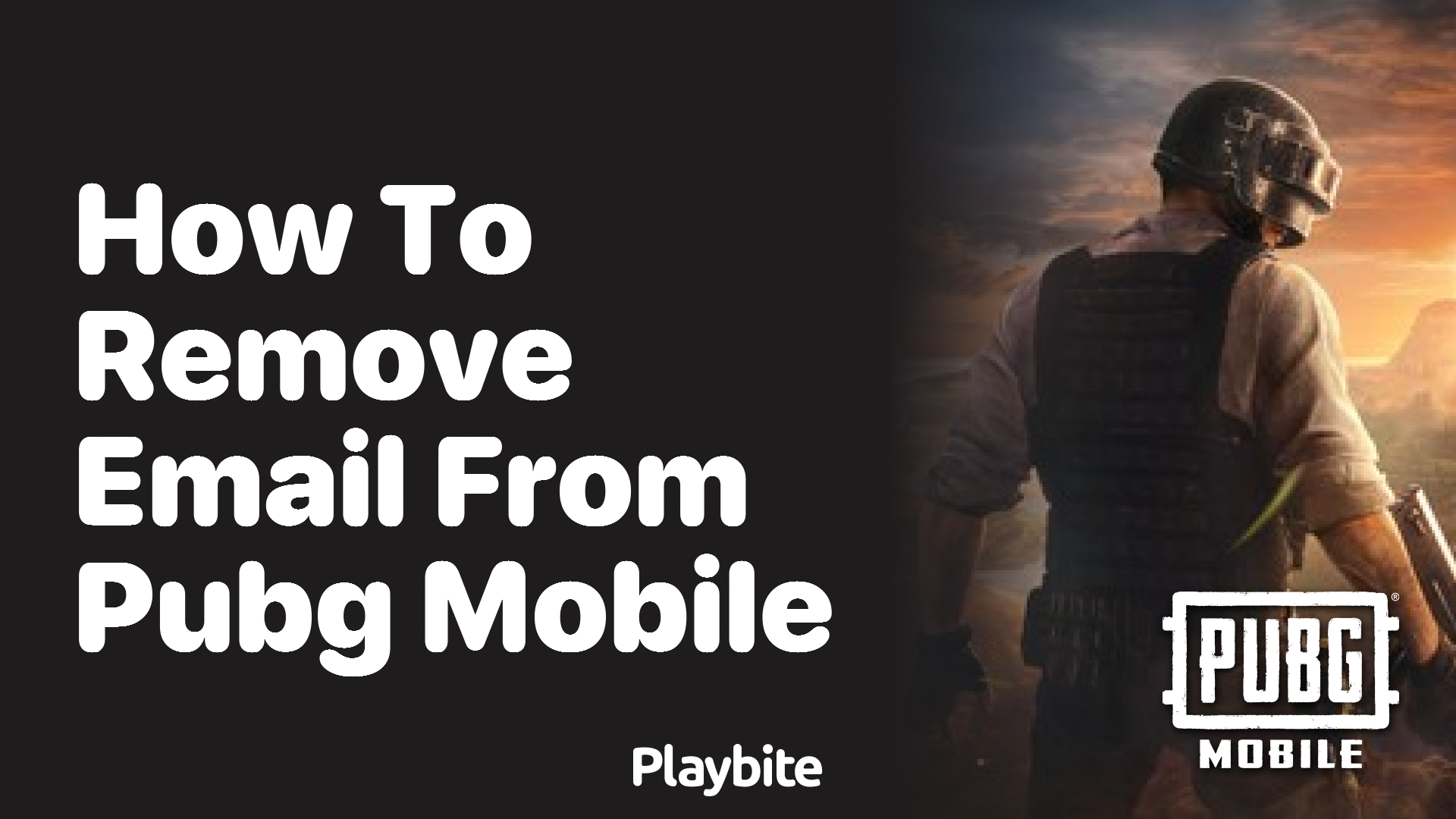 How to remove your email from PUBG Mobile