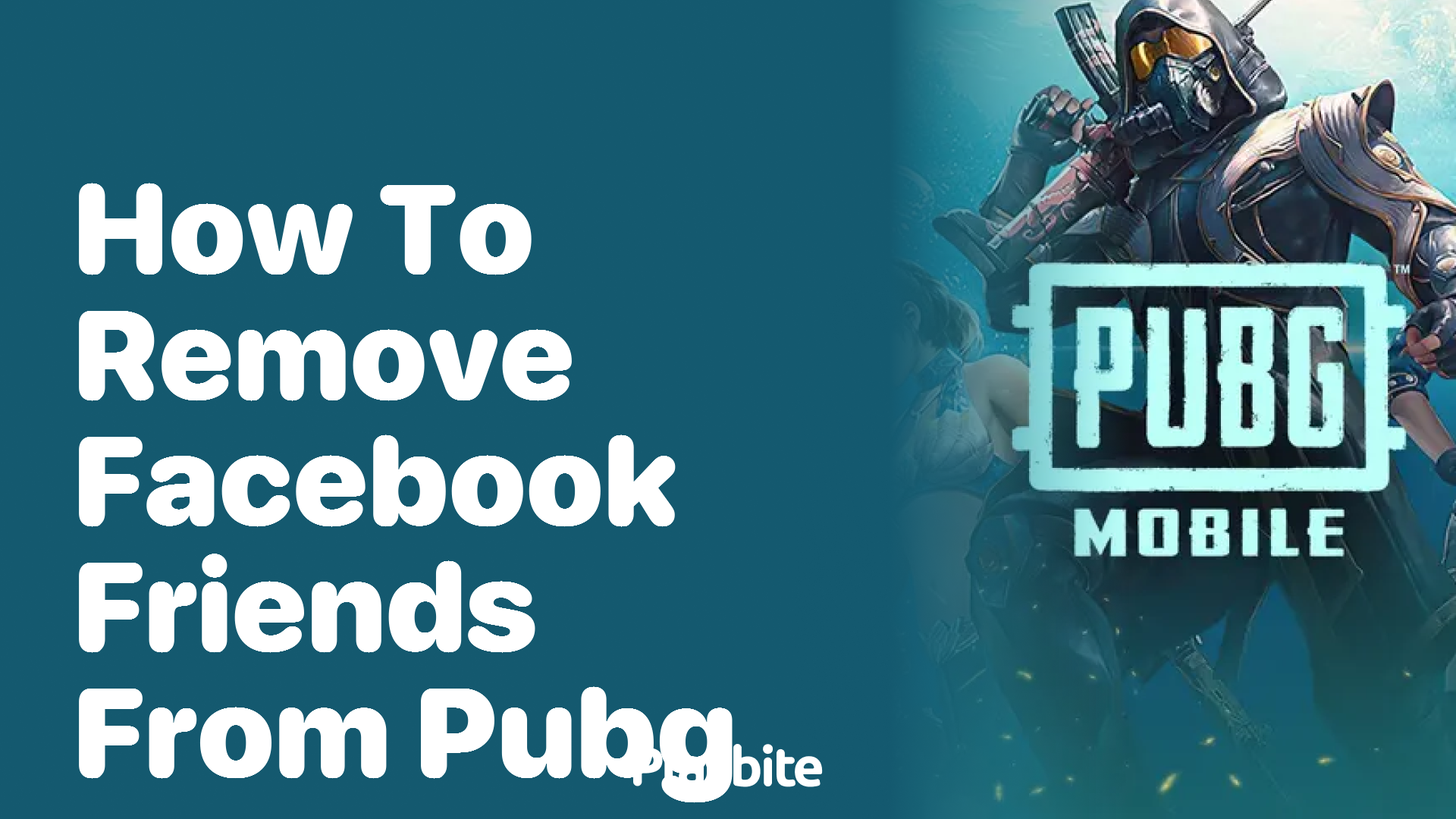 How to Remove Facebook Friends from PUBG