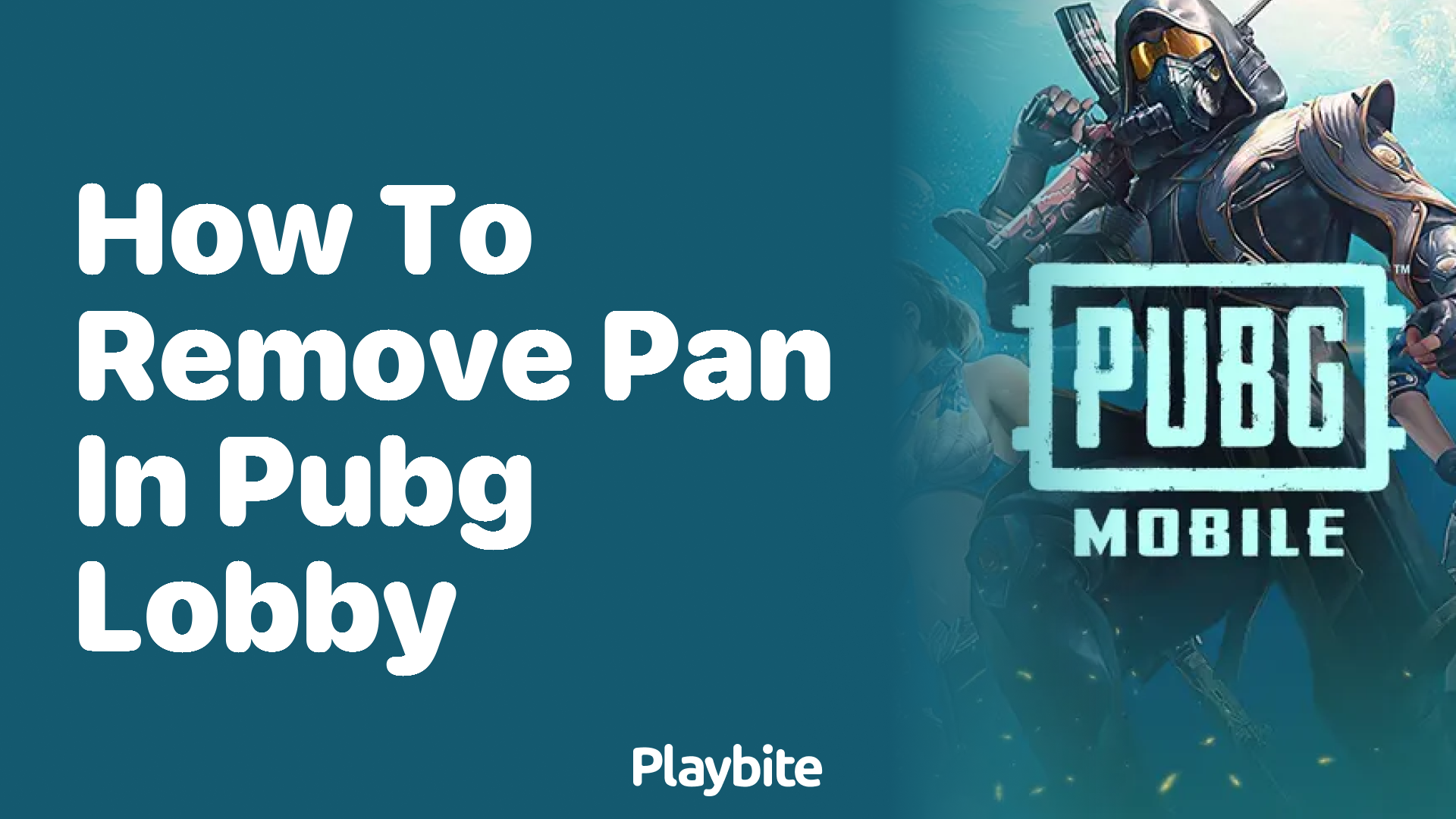 How to Remove Pan in PUBG Lobby