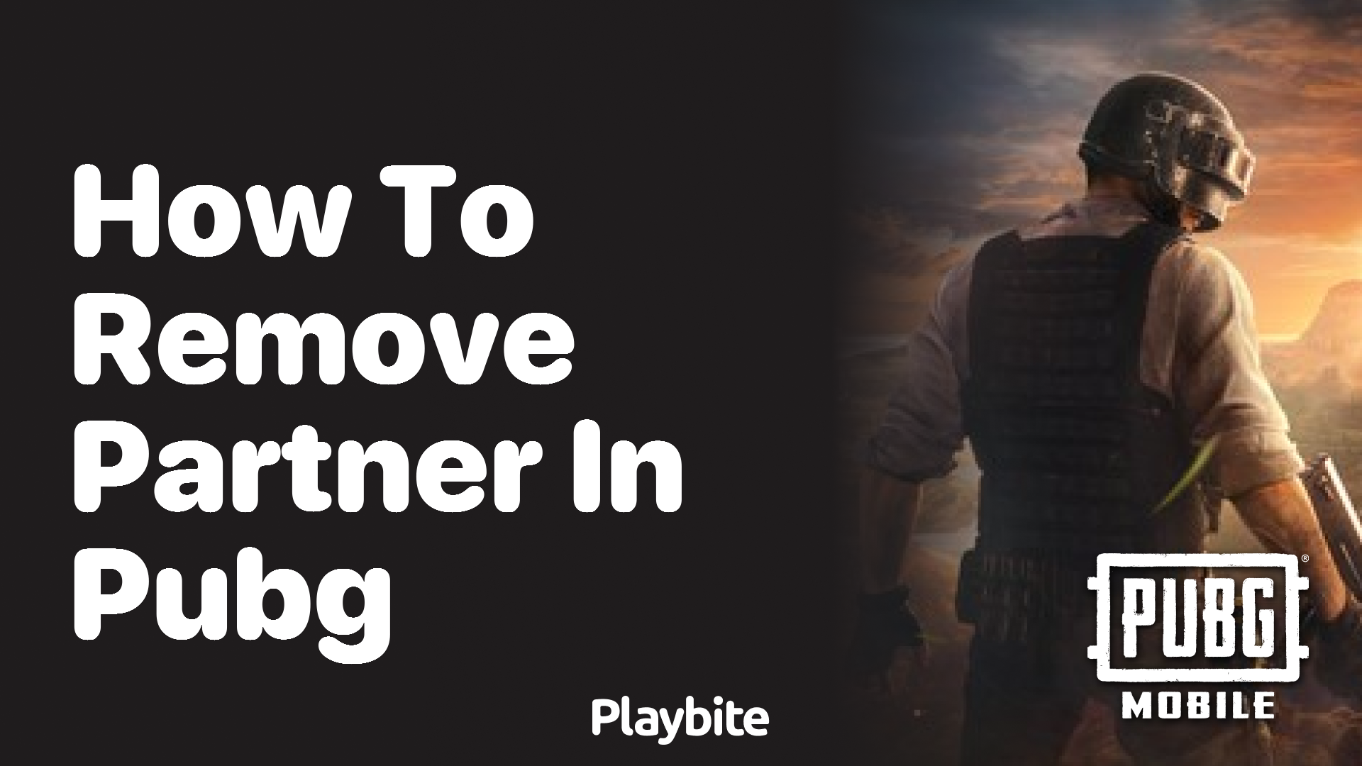 How to Remove a Partner in PUBG Mobile