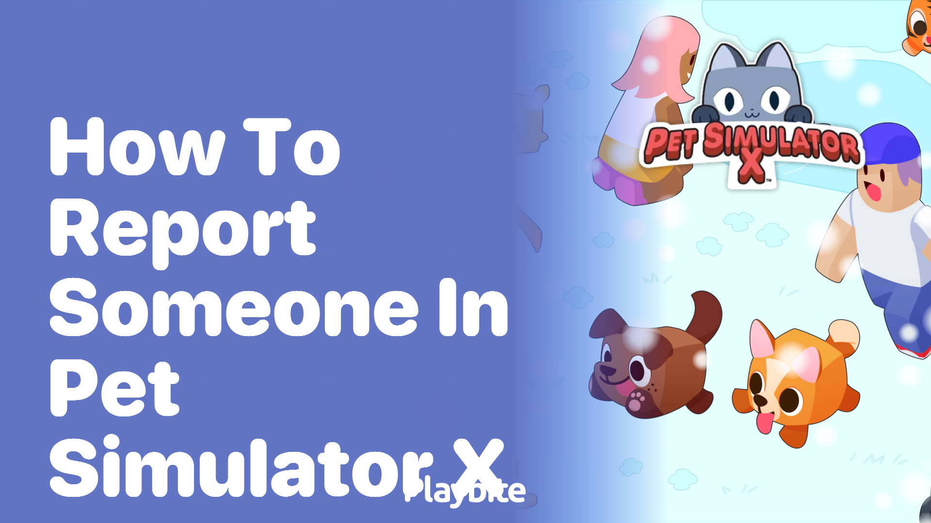 How to Report Someone in Pet Simulator X